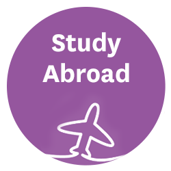 study-roundbutton-lg.png
