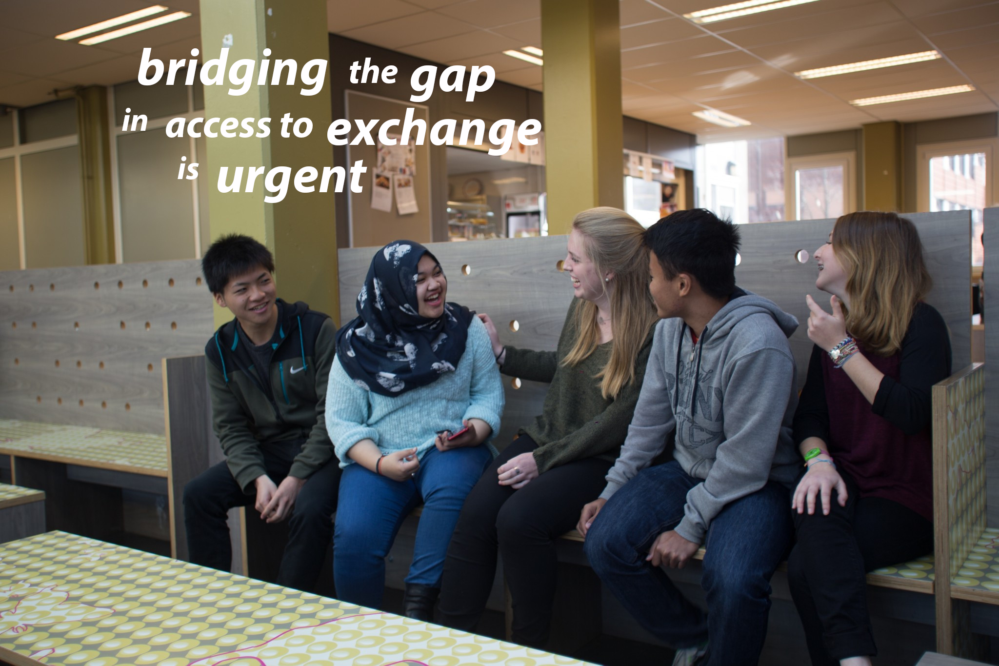 Bridging Access Gap is Urgent.png