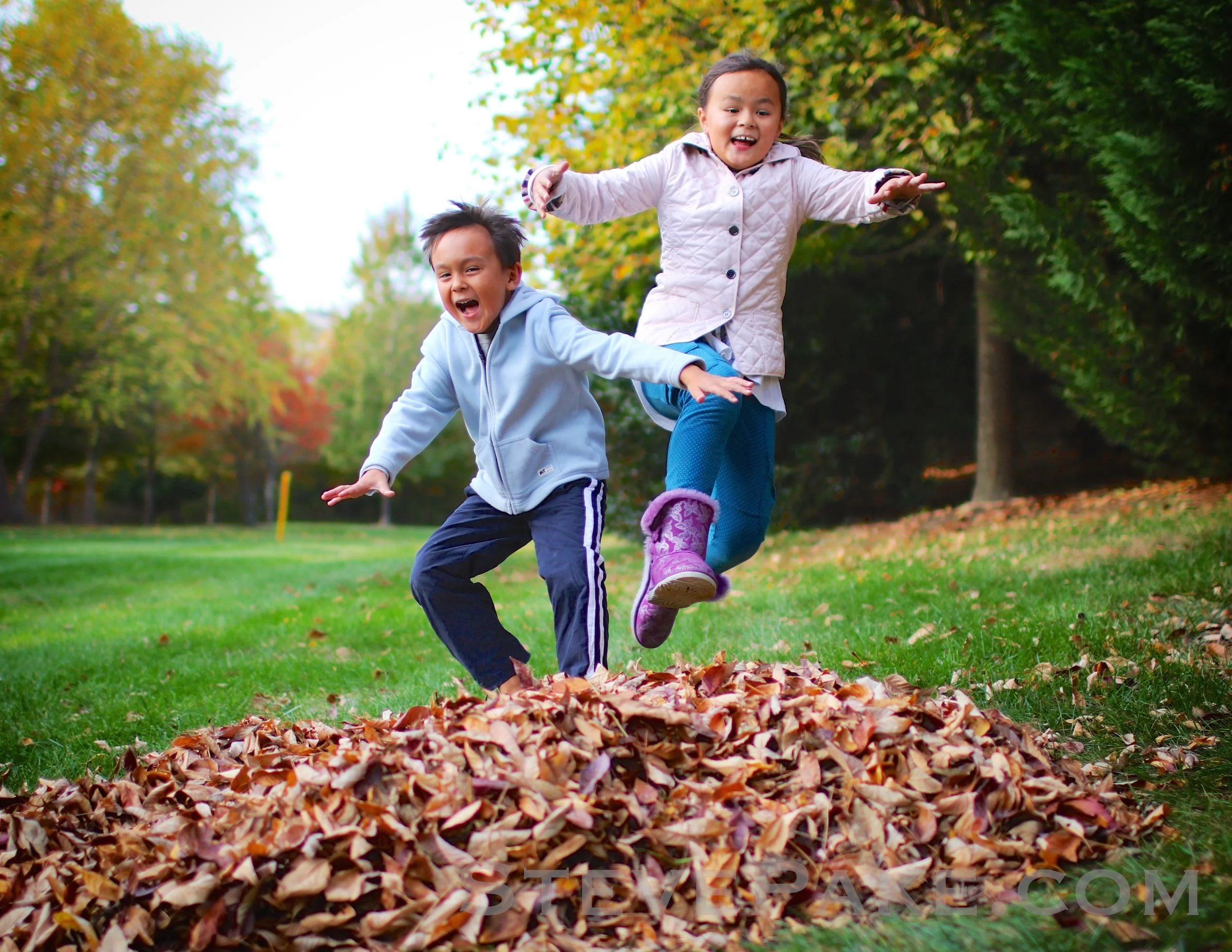 XmasCardPics2015-74_GE3A9357ap-3K-Leaves.jpg