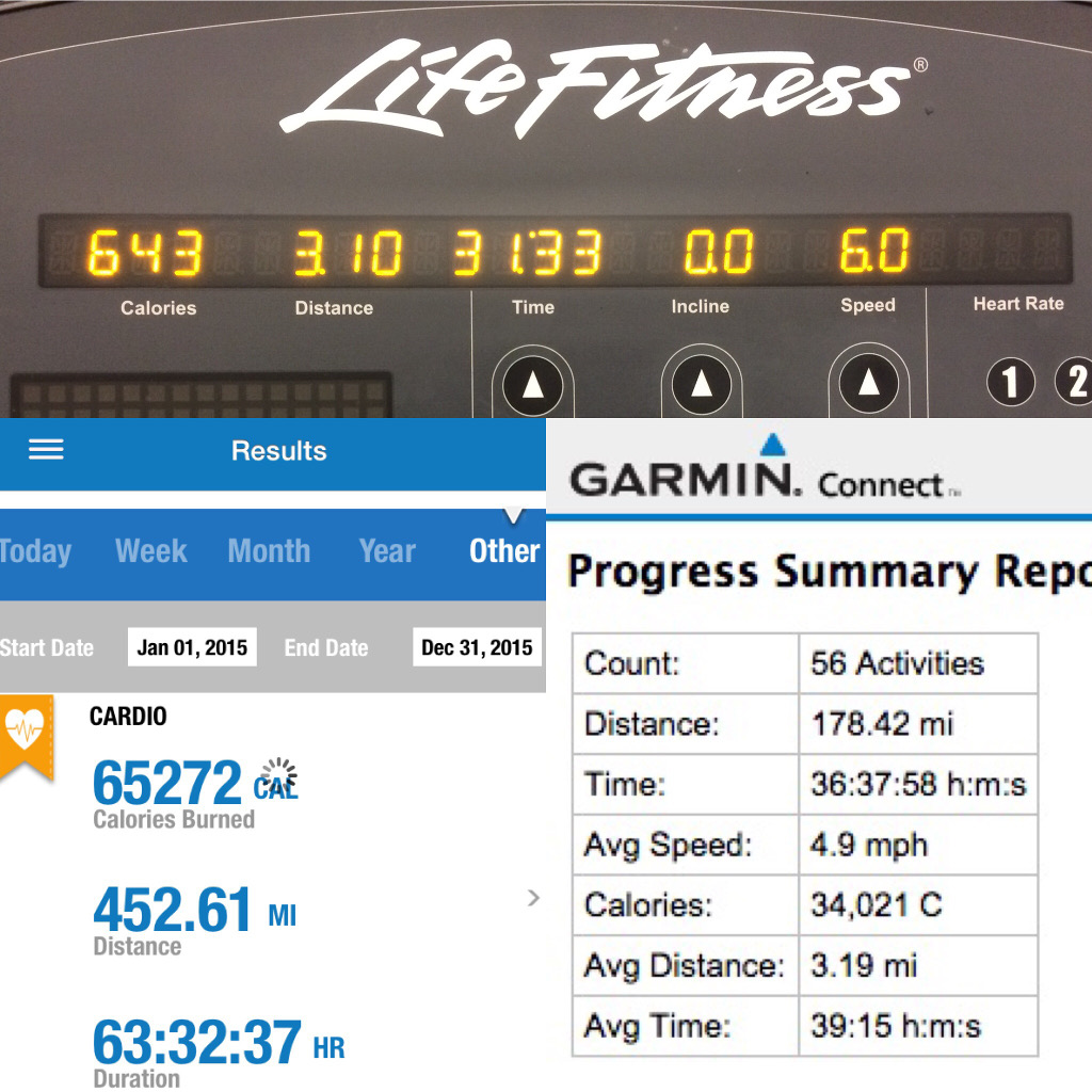 2015 fitness stats, and a nice easy 5K to start off 2016!