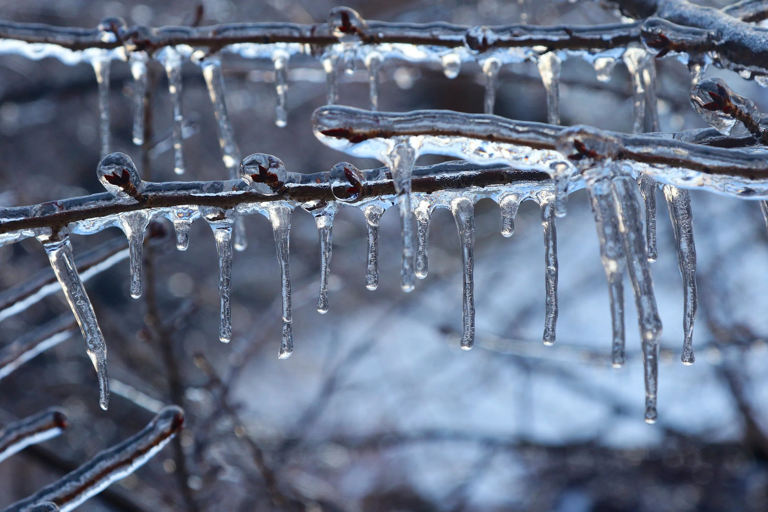 Cold Weather Survival Tips GE3A1088ap-3K.jpg