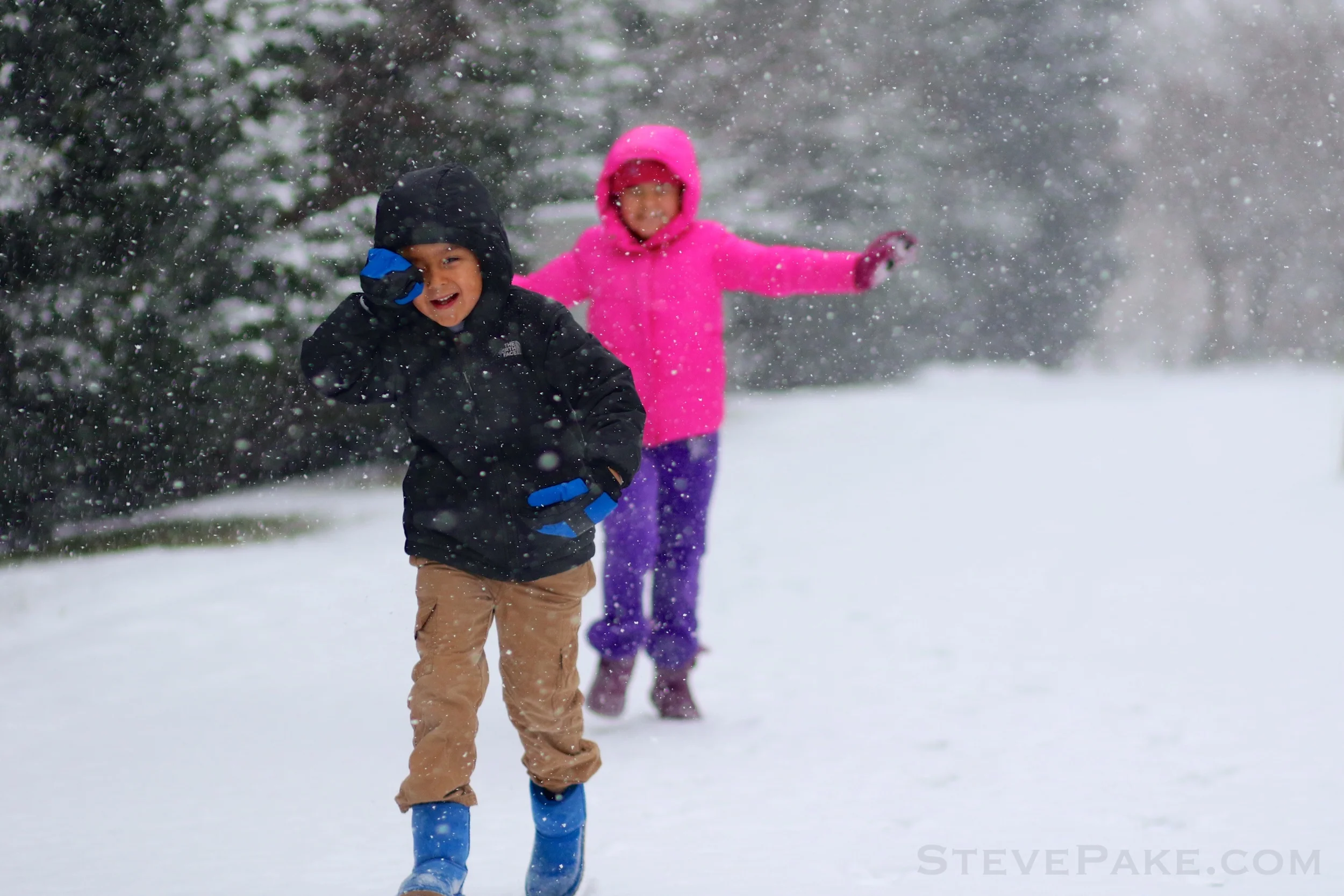 Snowzilla2016-003_GE3A4520.jpg