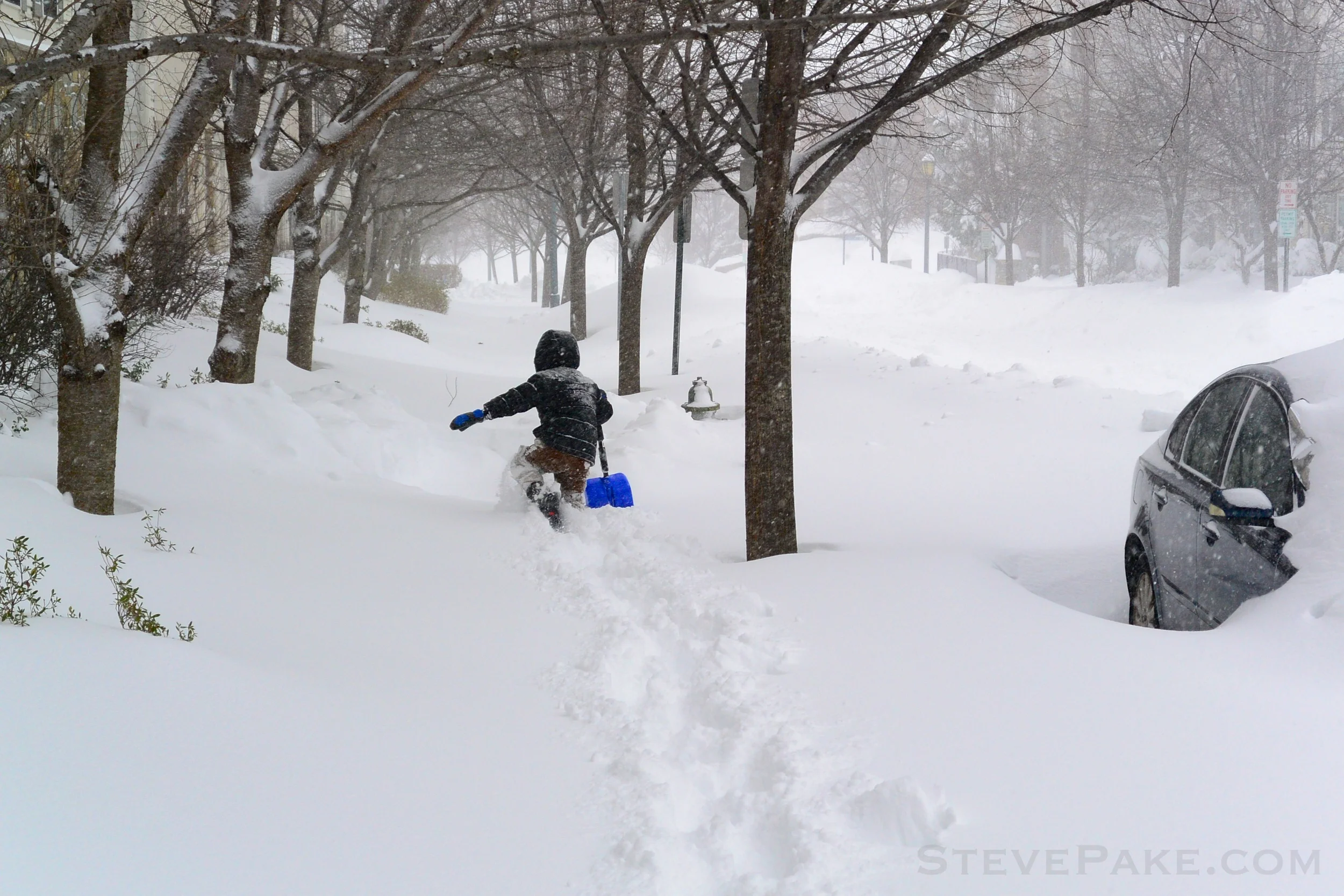 Snowzilla2016-019_DSC_9936.jpg