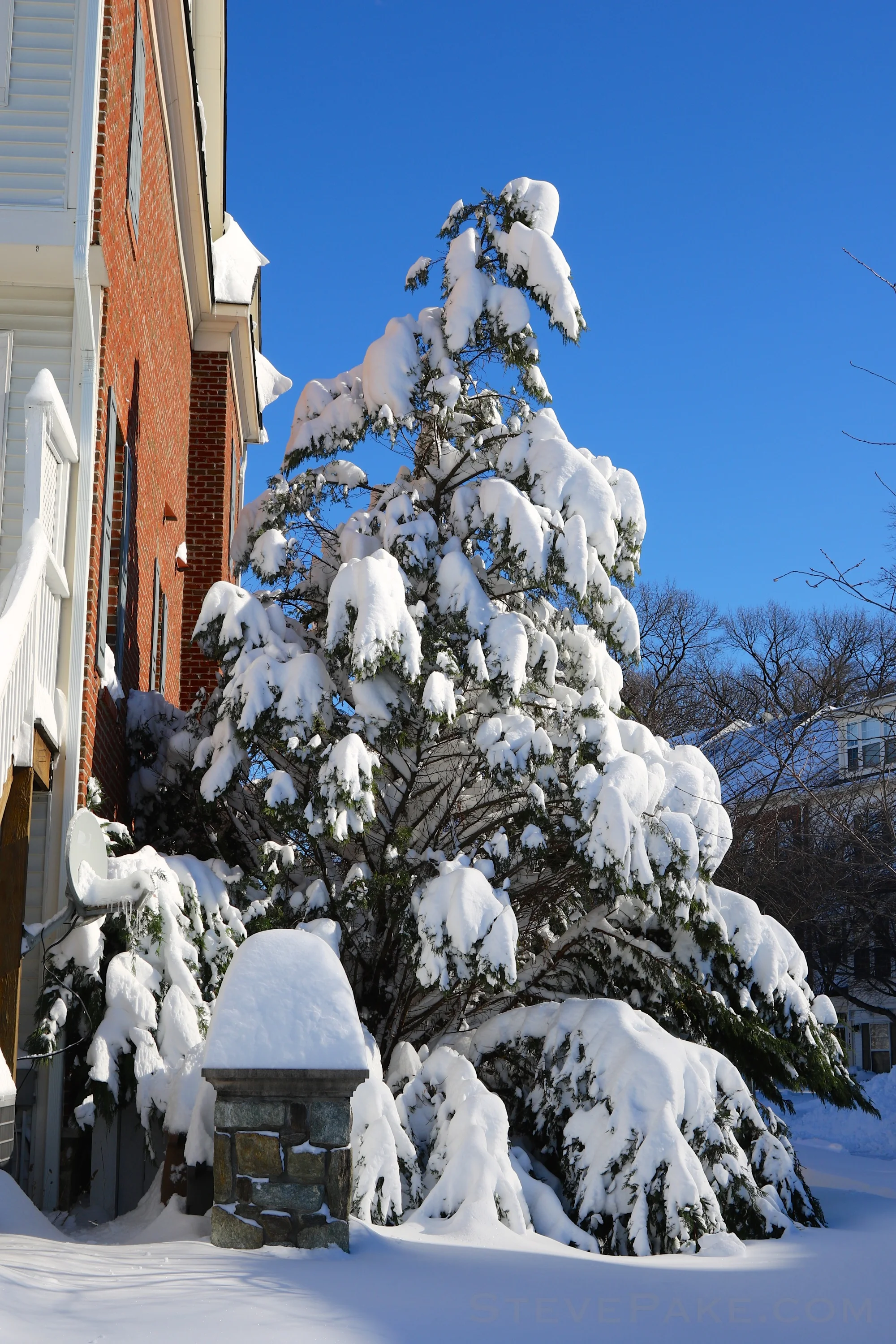 Snowzilla2016-058_GE3A5181.jpg