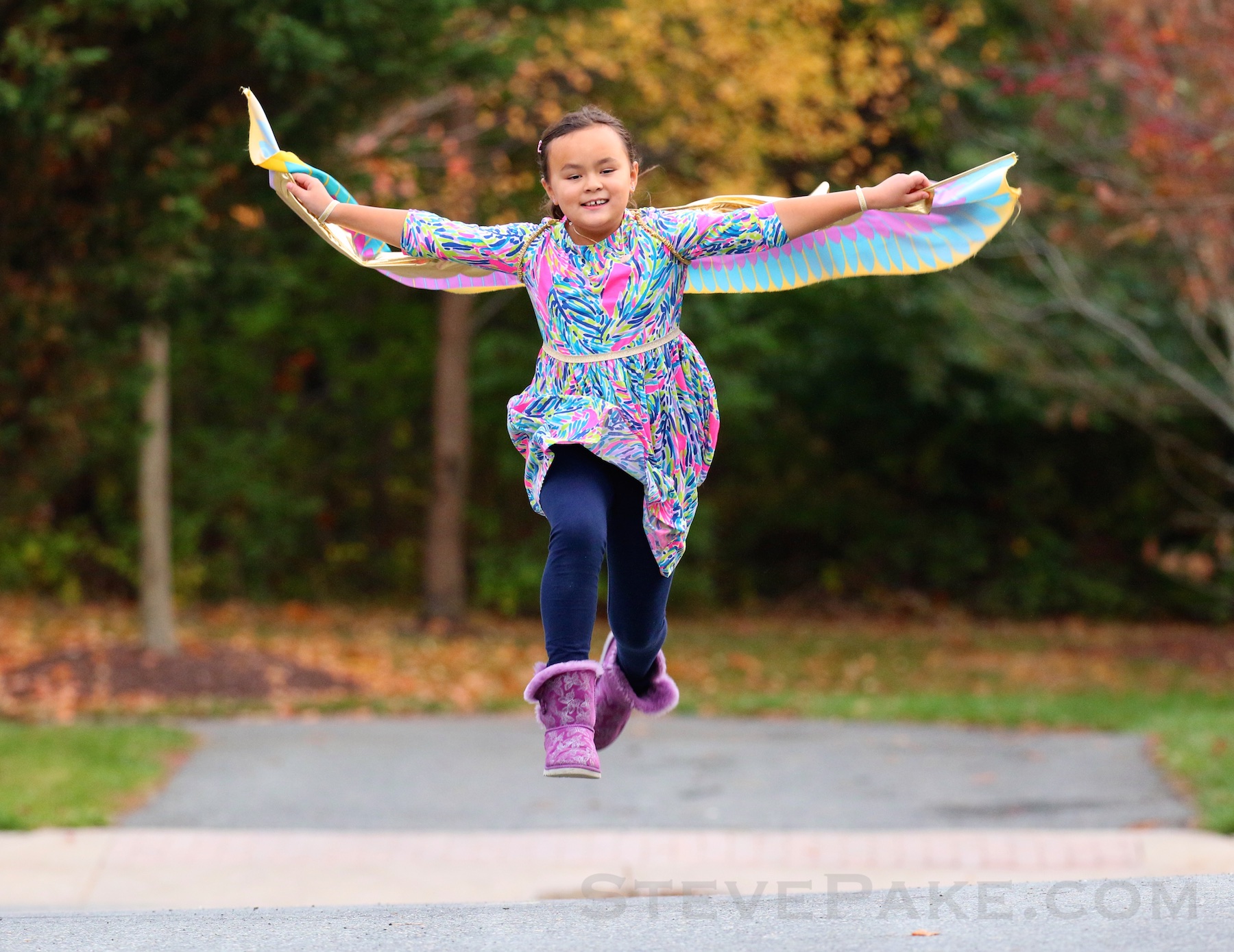 Katie trying to fly with a set of wings. She's at maximum height and mid-stride, and her wings look just about perfect. Canon 7D Mark II and 100-400mm lens.