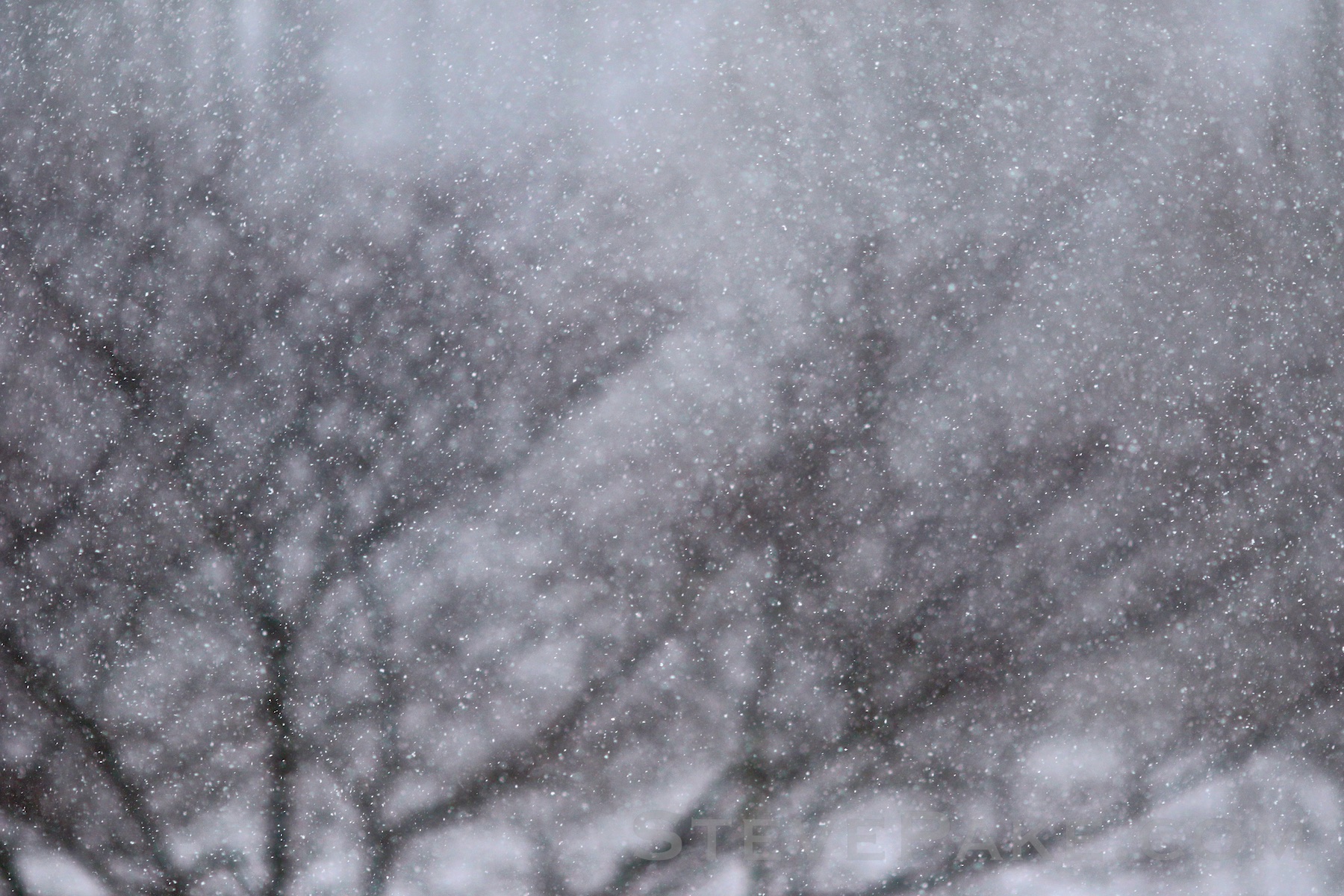 Canon 7D Mark II and 135mm f/2L lens creating selective focus. Only a very thin layer of snowflakes are in focus, and everything else in front and behind is blurred out of focus.