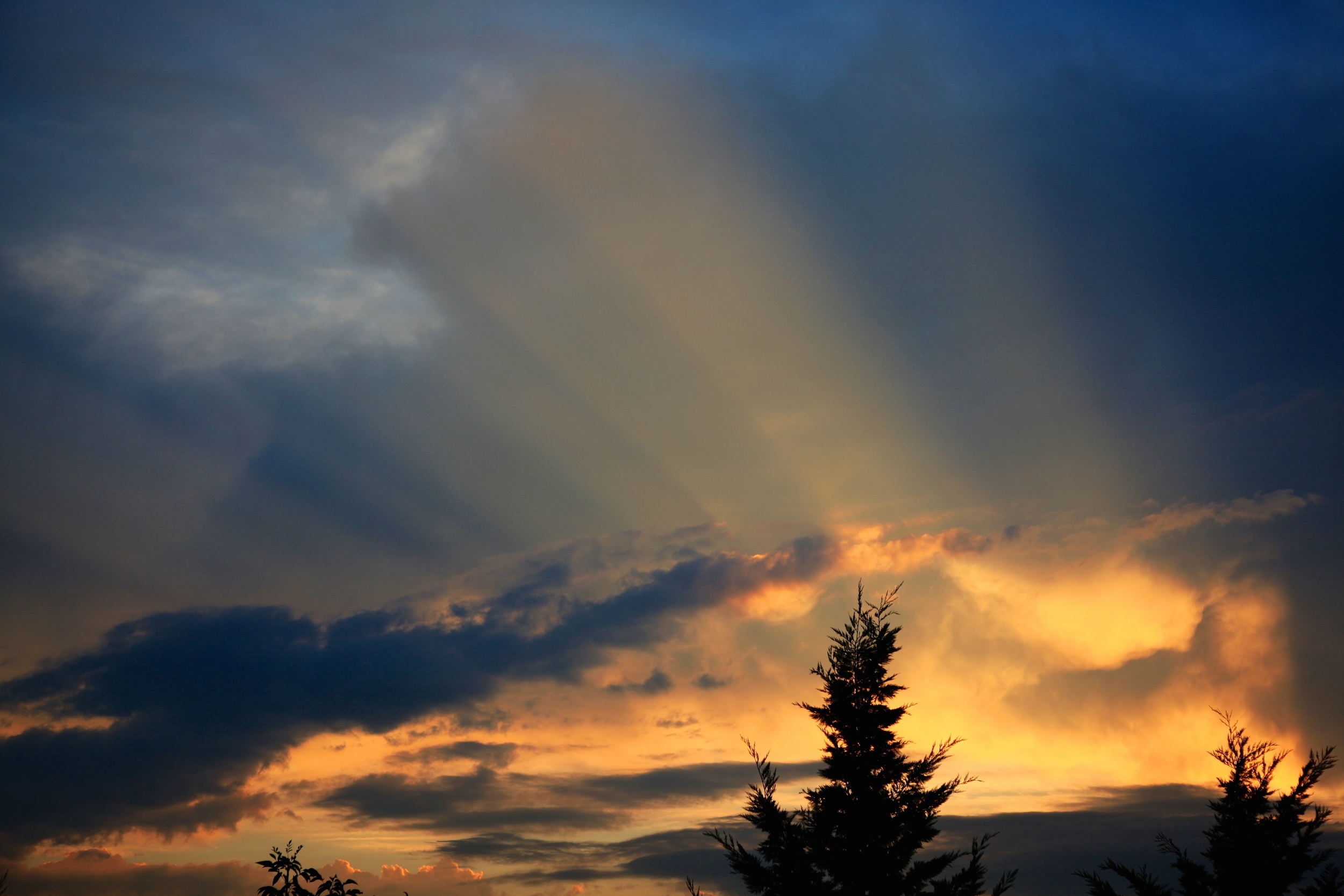 Life goes on, and the sun will rise and set again for many of us after cancer, but not for all. Survivor's guilt is a very normal part of the cancer survivorship experience. It can be tremendously painful, but is also a huge opportunity for growth in our lives.