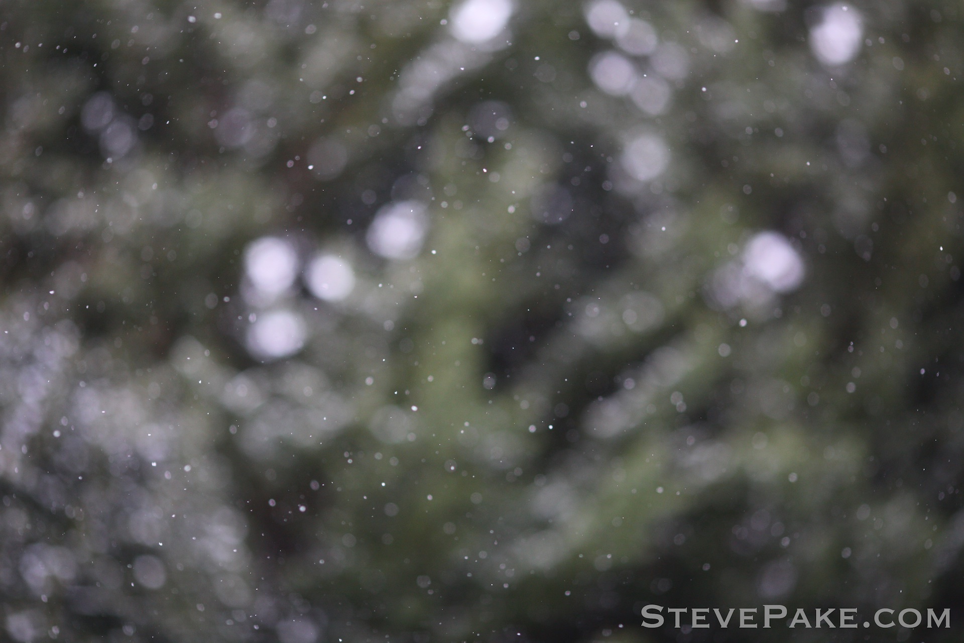 To get snowflake photos, you have to manually focus at mid-field, and then use a fast shutter speed like 1/2000s. 