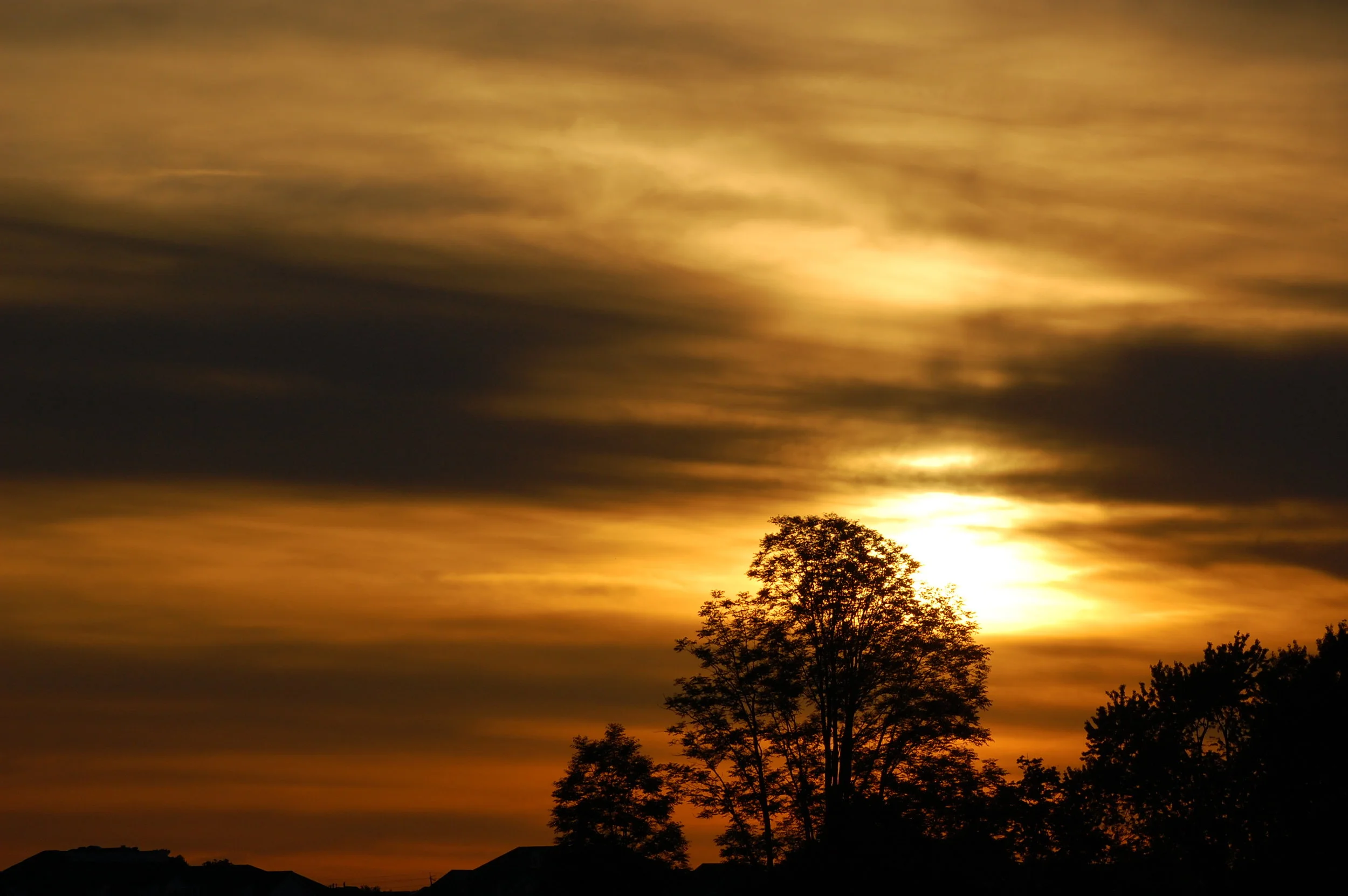 Cancer Survivors Are Grieving Too