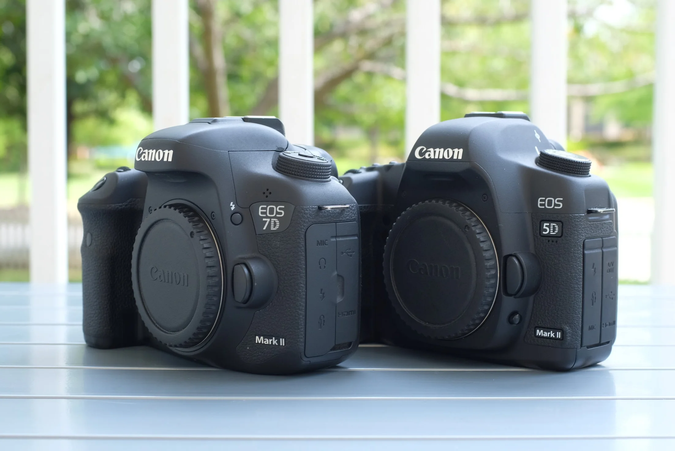 Do You Own Your Photography, Or Does Your Photography Own You?