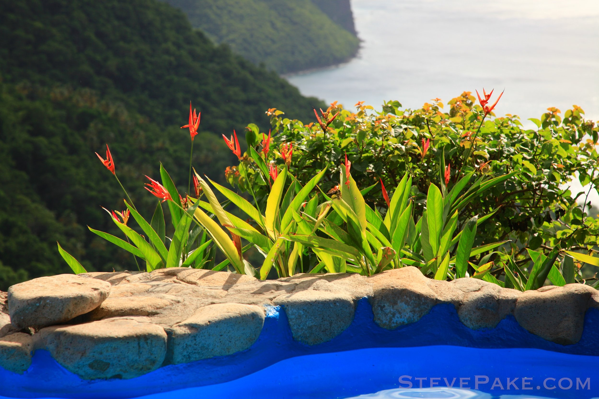 StLucia2012_074_5D2_8627-4k-WM.jpg
