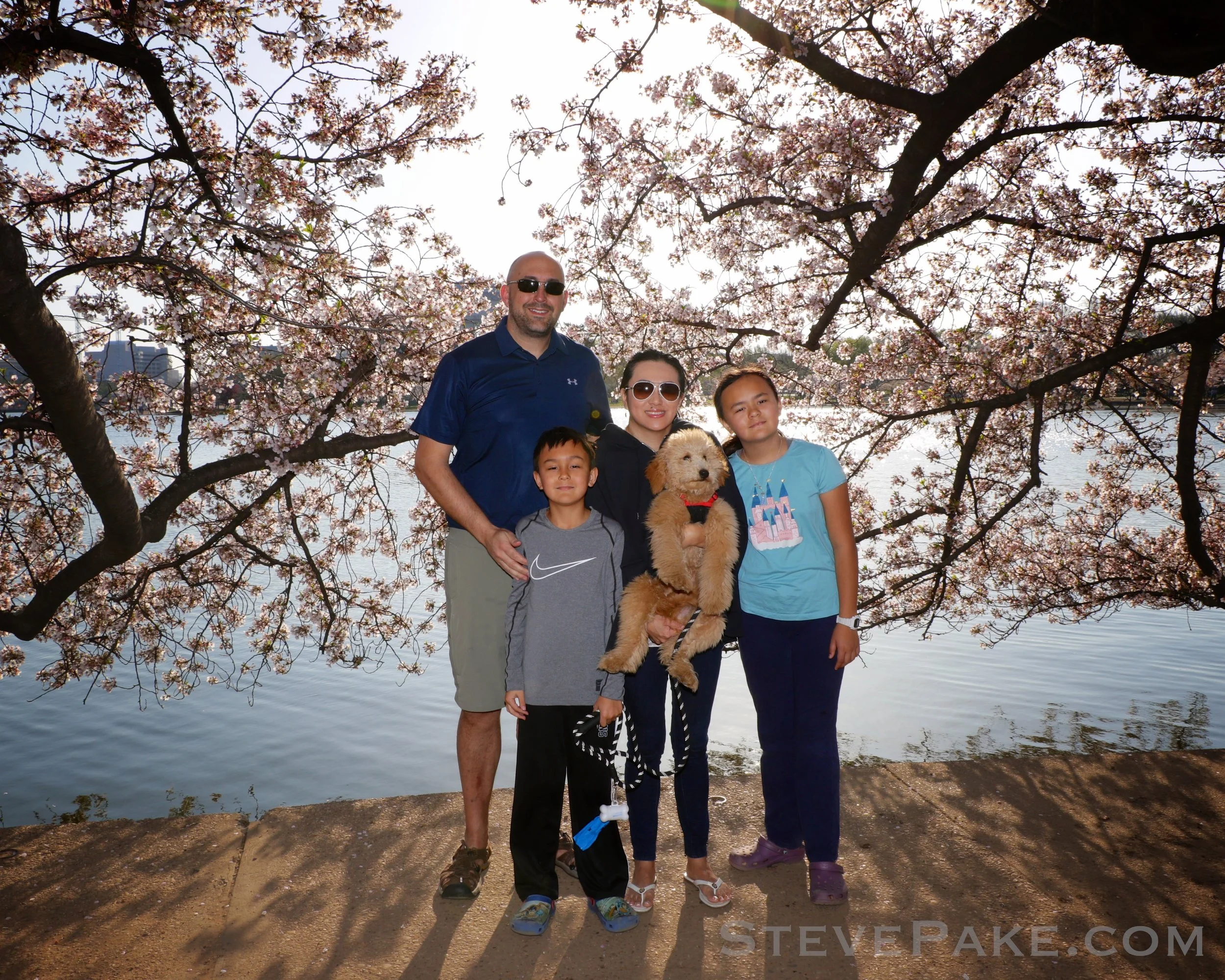 Pake Family at the DC Cherry Blossoms 2018