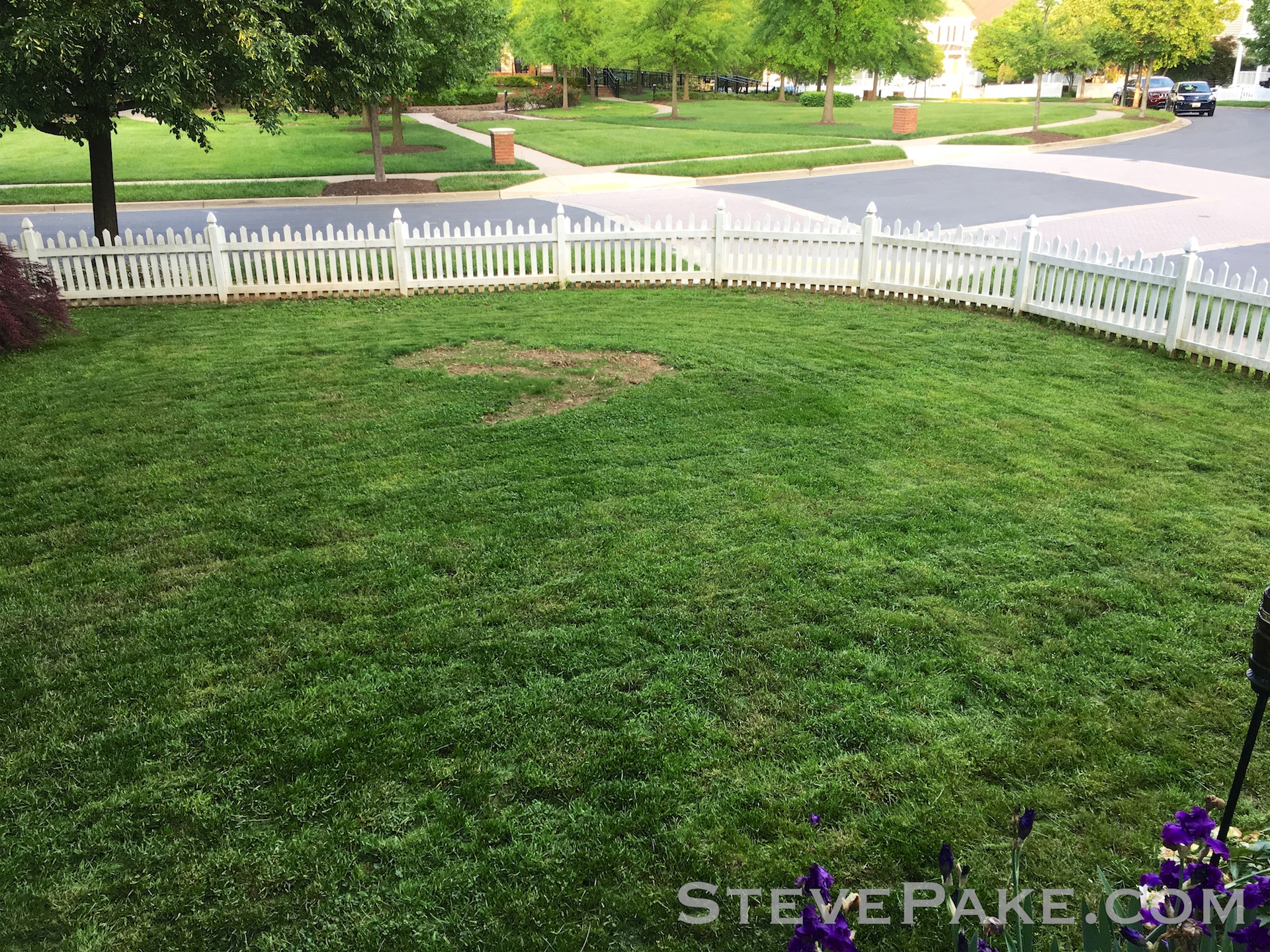Damn! Look at those lines and that nice clean and even cut!