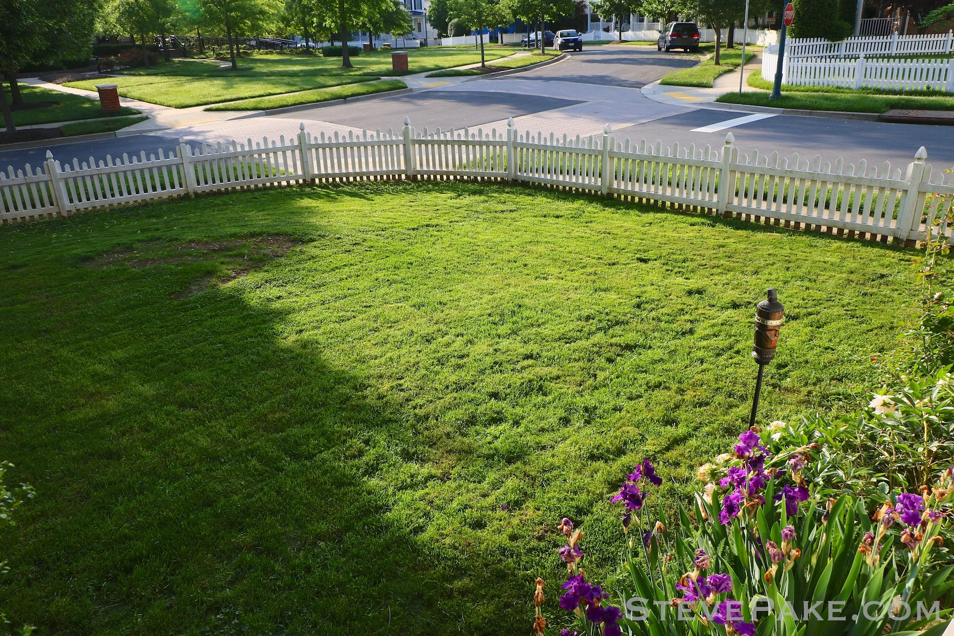 The "hole" in the yard is from where a more than half dead tree had to come down. I've seeded it and grass is just starting to grow there now.
