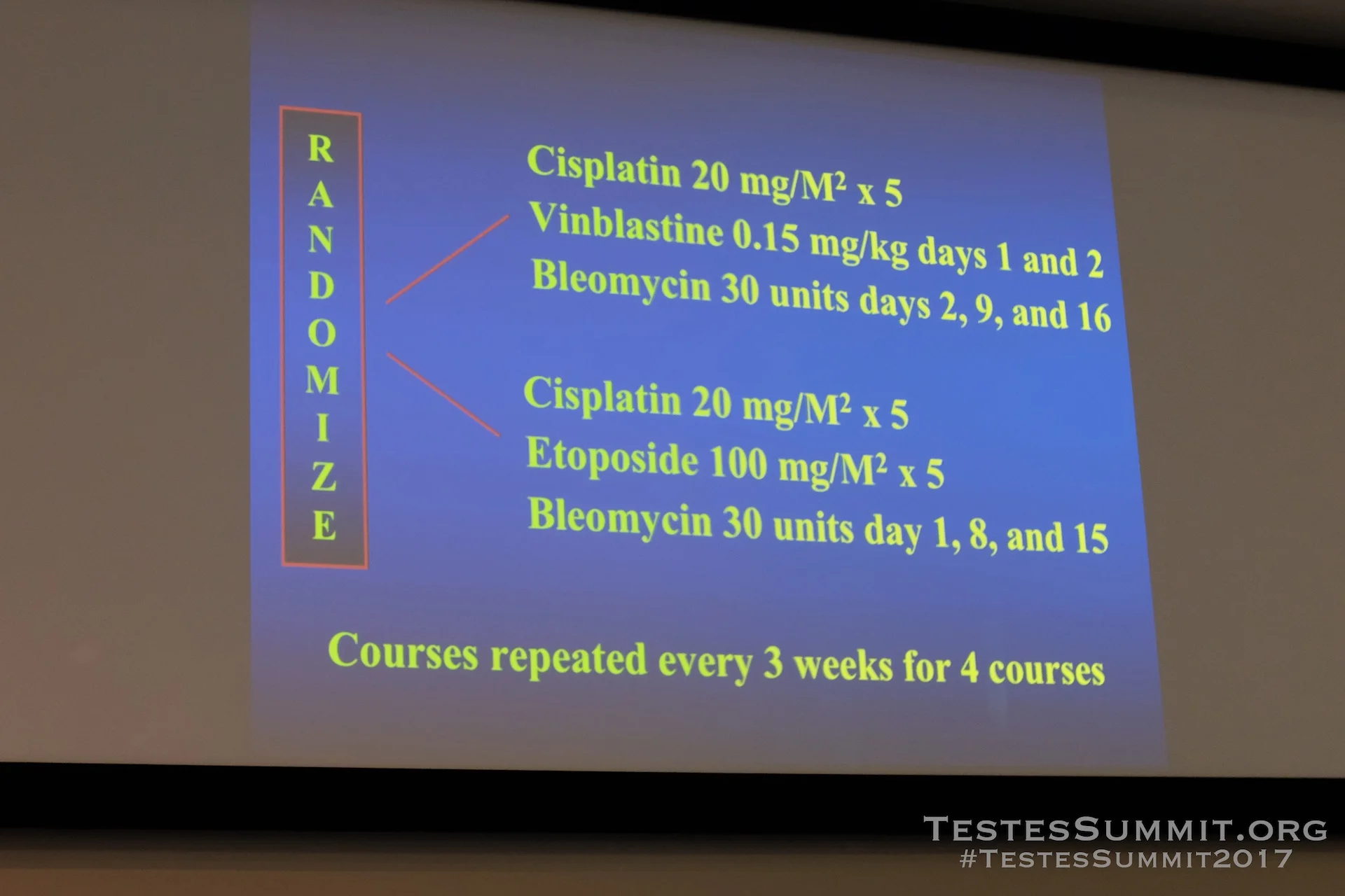 TestesSummit2017-EINHORN_022_DSCF5445ap-HD-WM.jpg