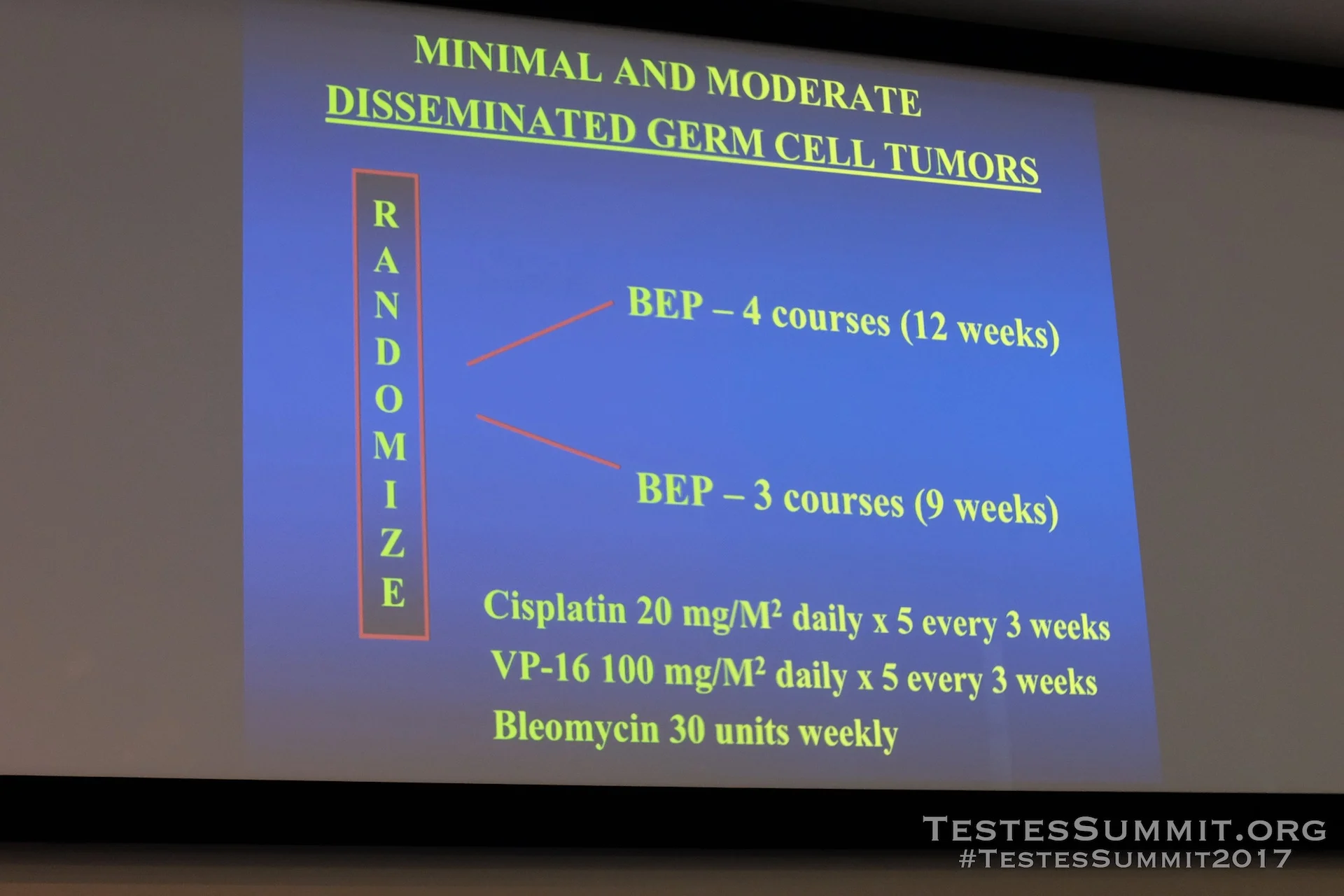 TestesSummit2017-EINHORN_026_DSCF5449ap-HD-WM.jpg