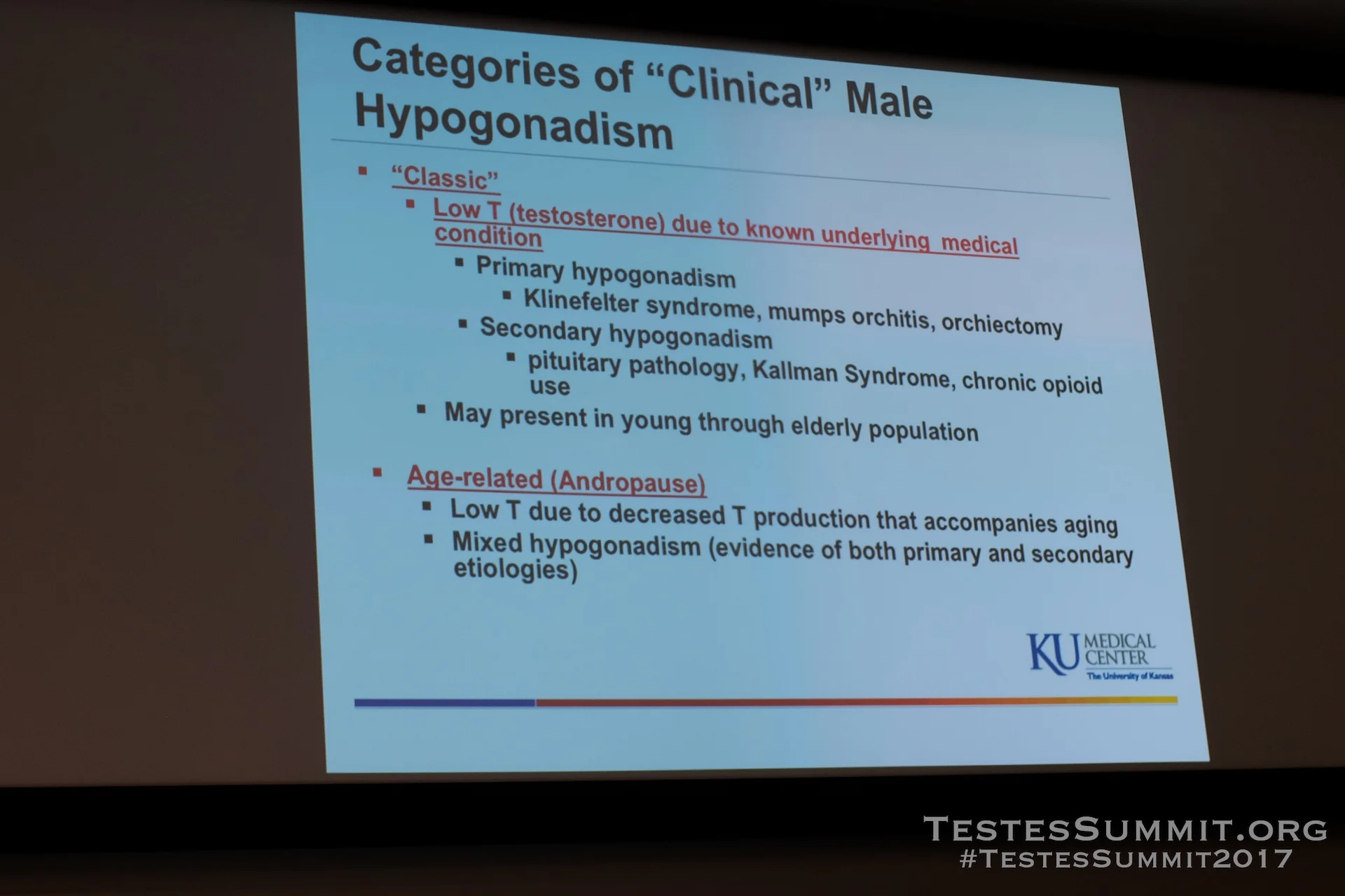TestesSummit2017-NANGIA_078_DSCF5703ap-HD-WM.jpg