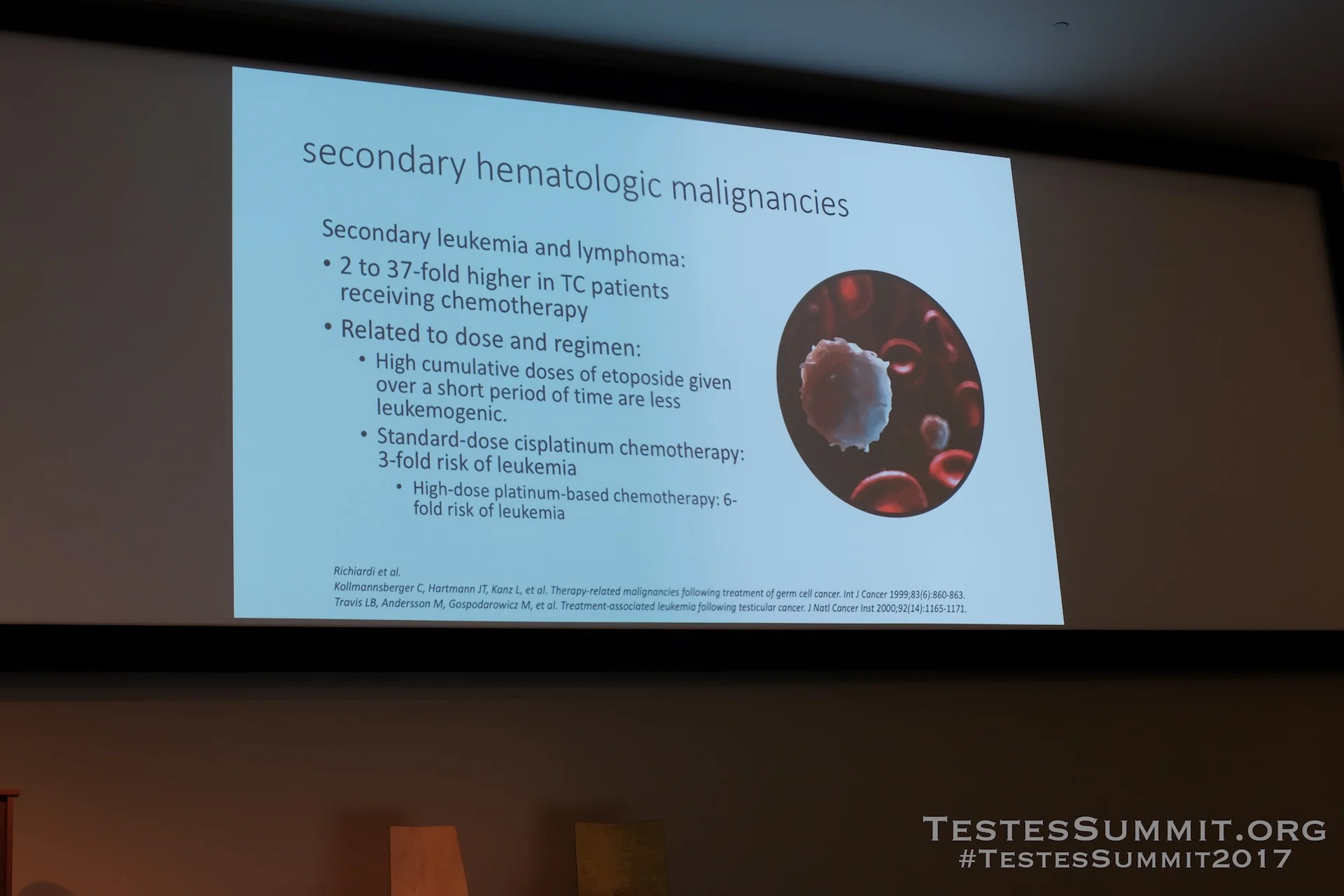 TestesSummit2017-PIERORAZIO_014_DSCF5548ap-HD-WM.jpg