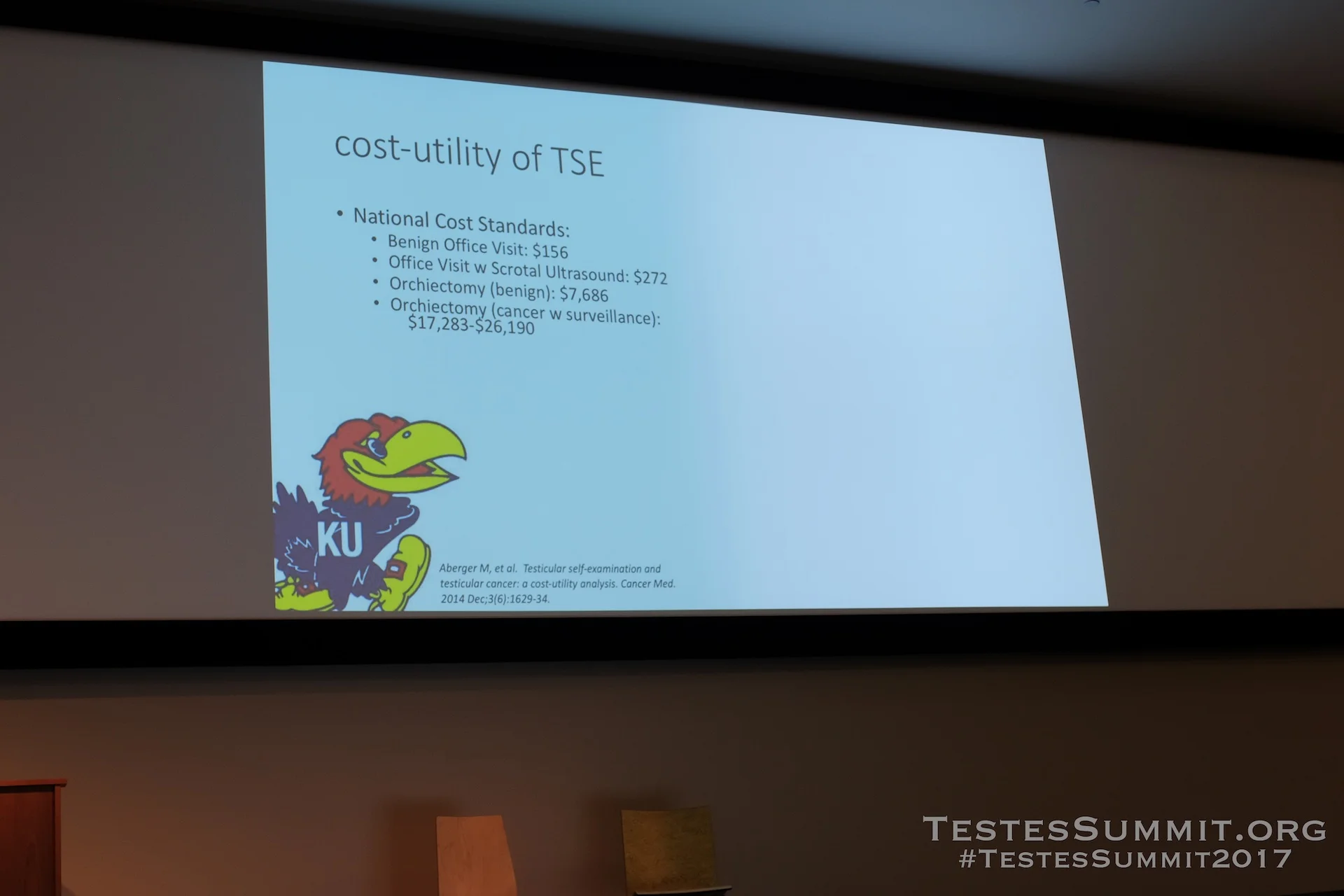 TestesSummit2017-PIERORAZIO_052_DSCF5581ap-HD-WM.jpg