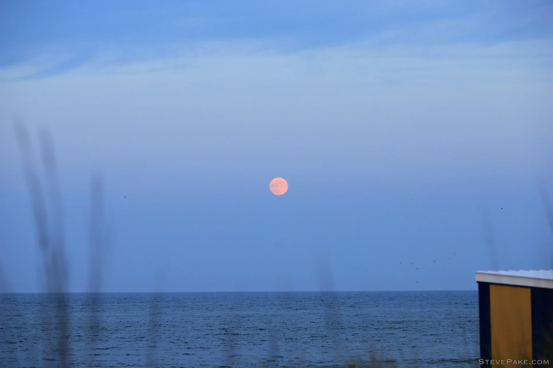 Moonrise with the 135L at f/4, 1/160s, and ISO 250.