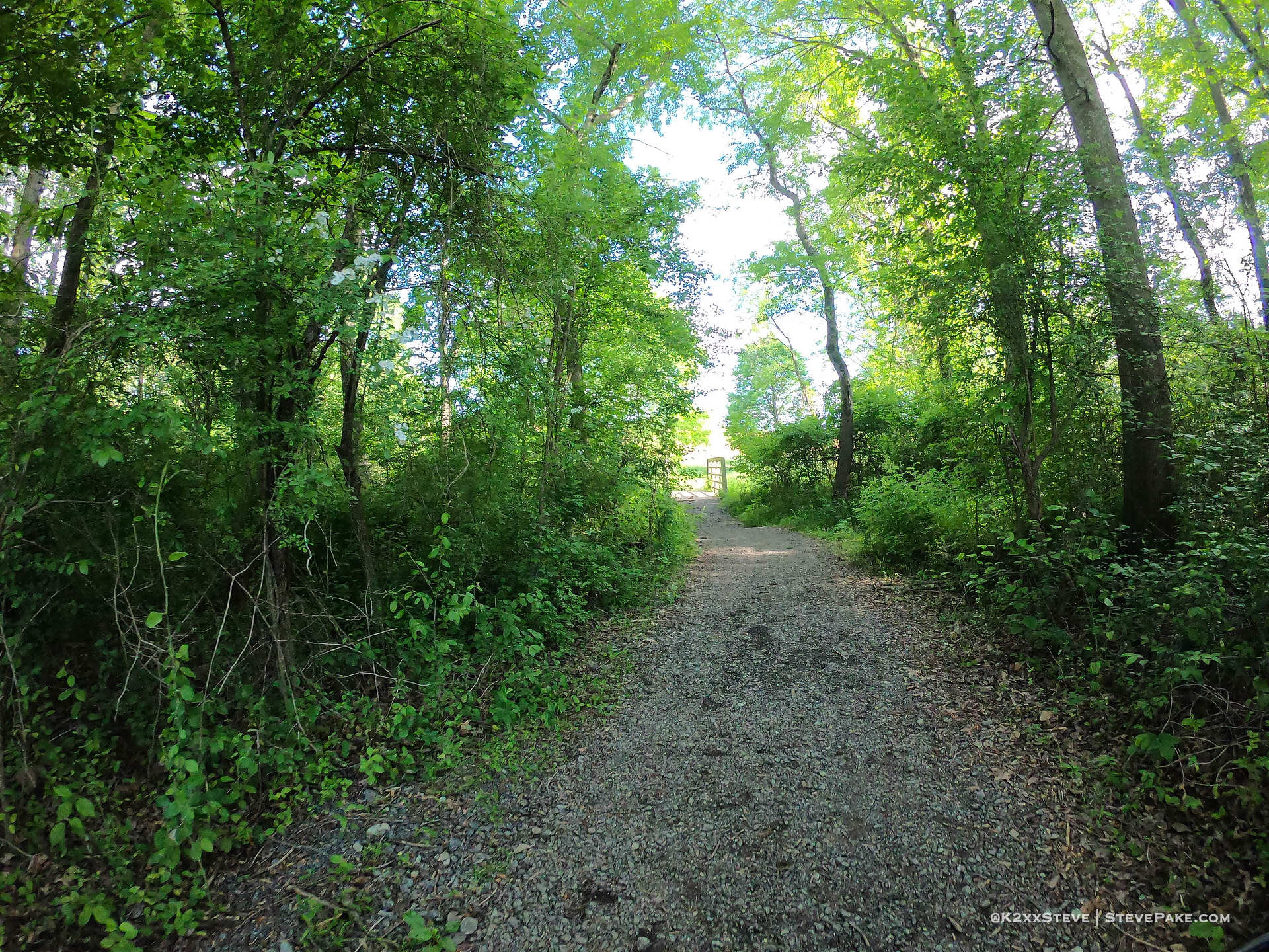  DCIM\100GOPRO\G0242096.JPG 