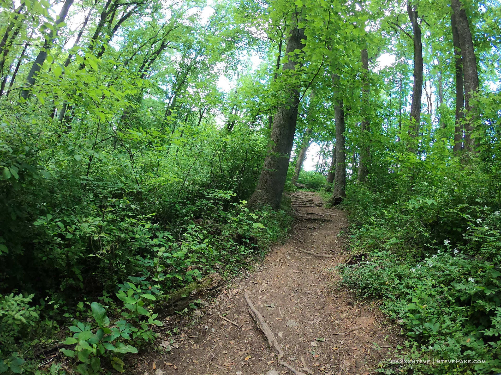  DCIM\101GOPRO\G0262382.JPG 