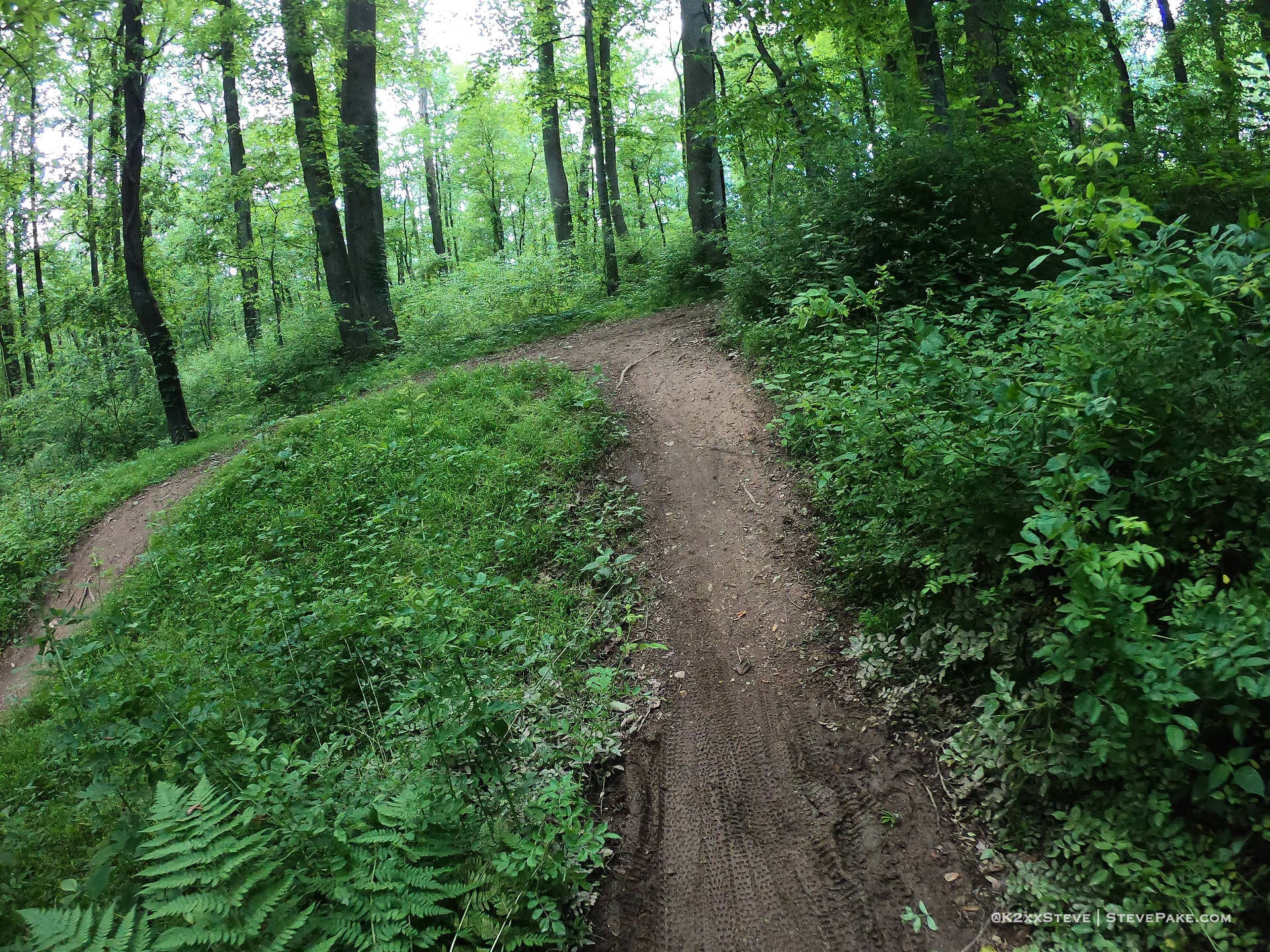  DCIM\101GOPRO\G0262389.JPG 
