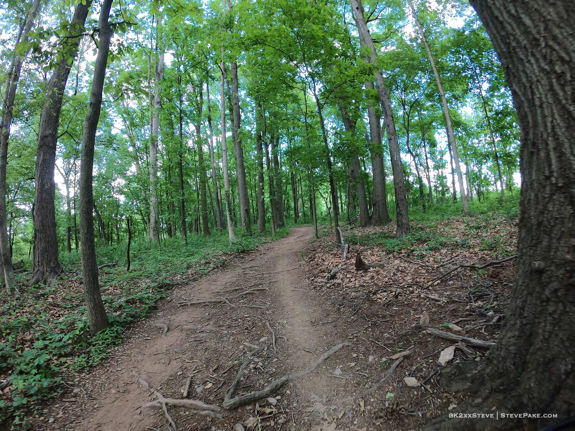  DCIM\101GOPRO\G0262528.JPG 