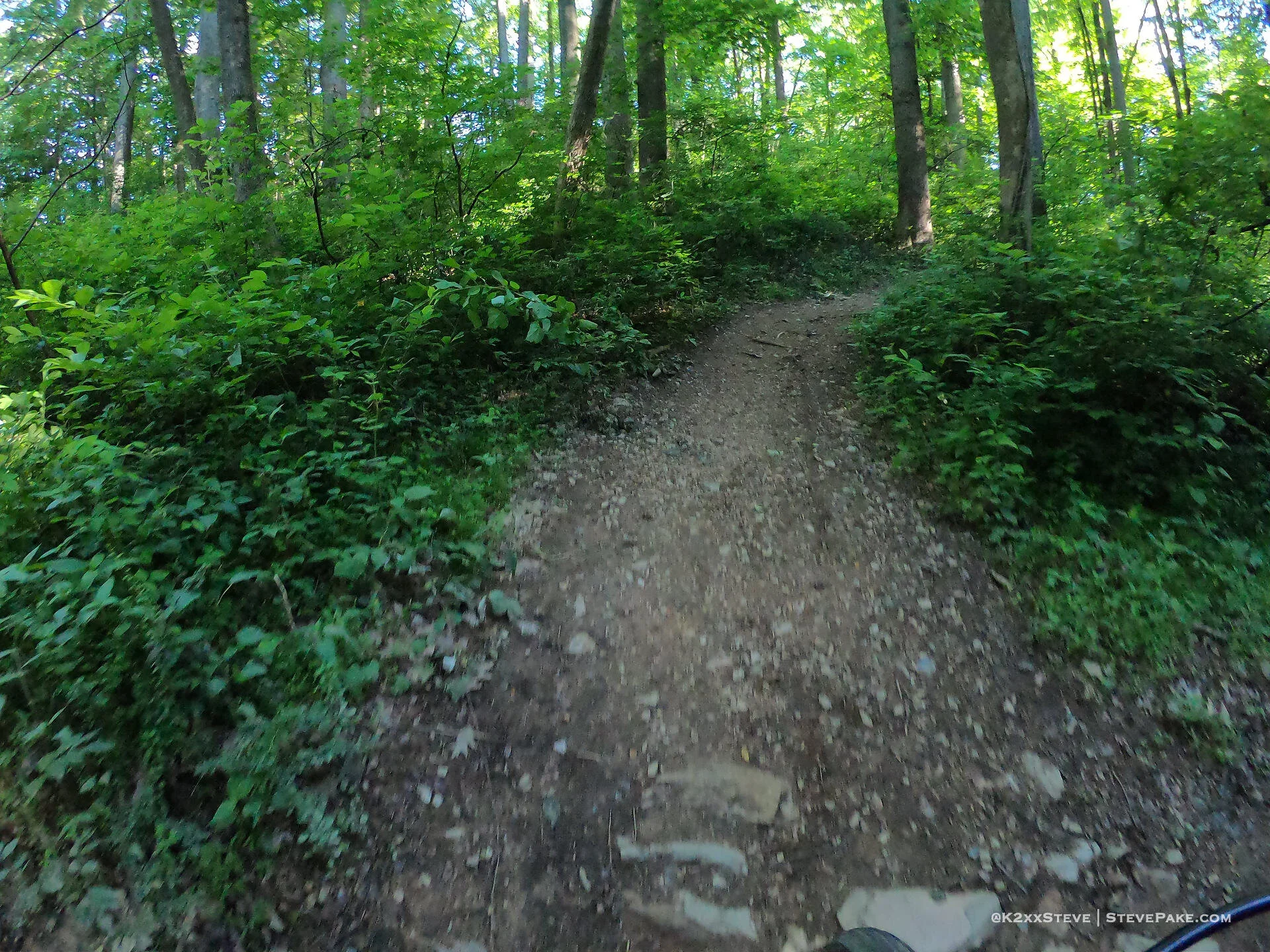  DCIM\100GOPRO\G0044503.JPG 