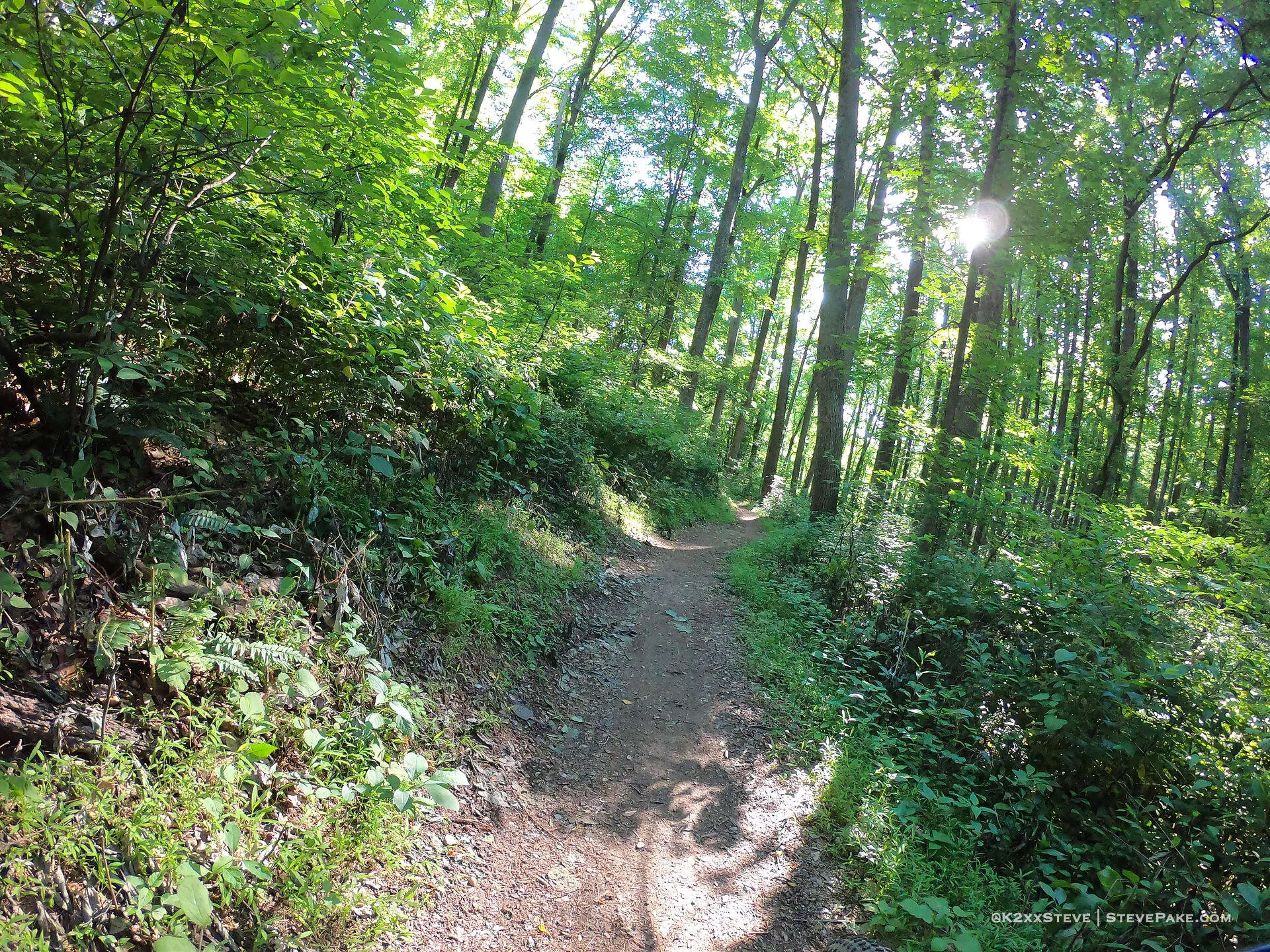  DCIM\100GOPRO\G0044504.JPG 
