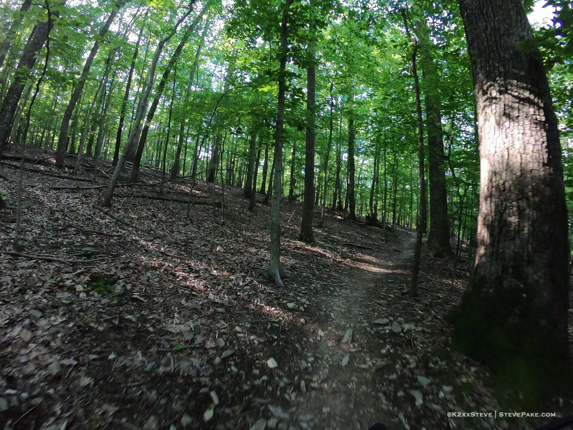  DCIM\100GOPRO\G0044550.JPG 