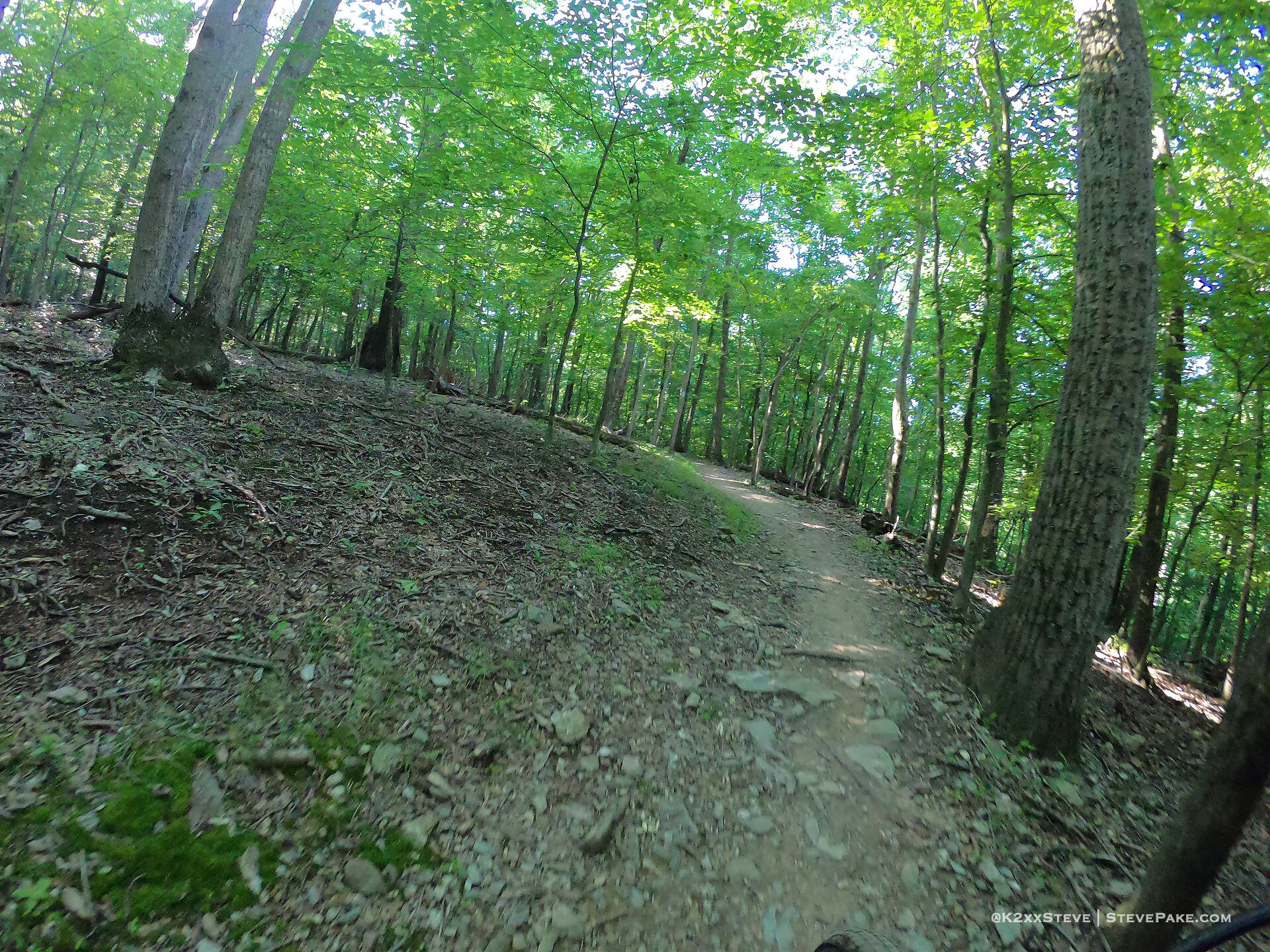  DCIM\100GOPRO\G0044554.JPG 