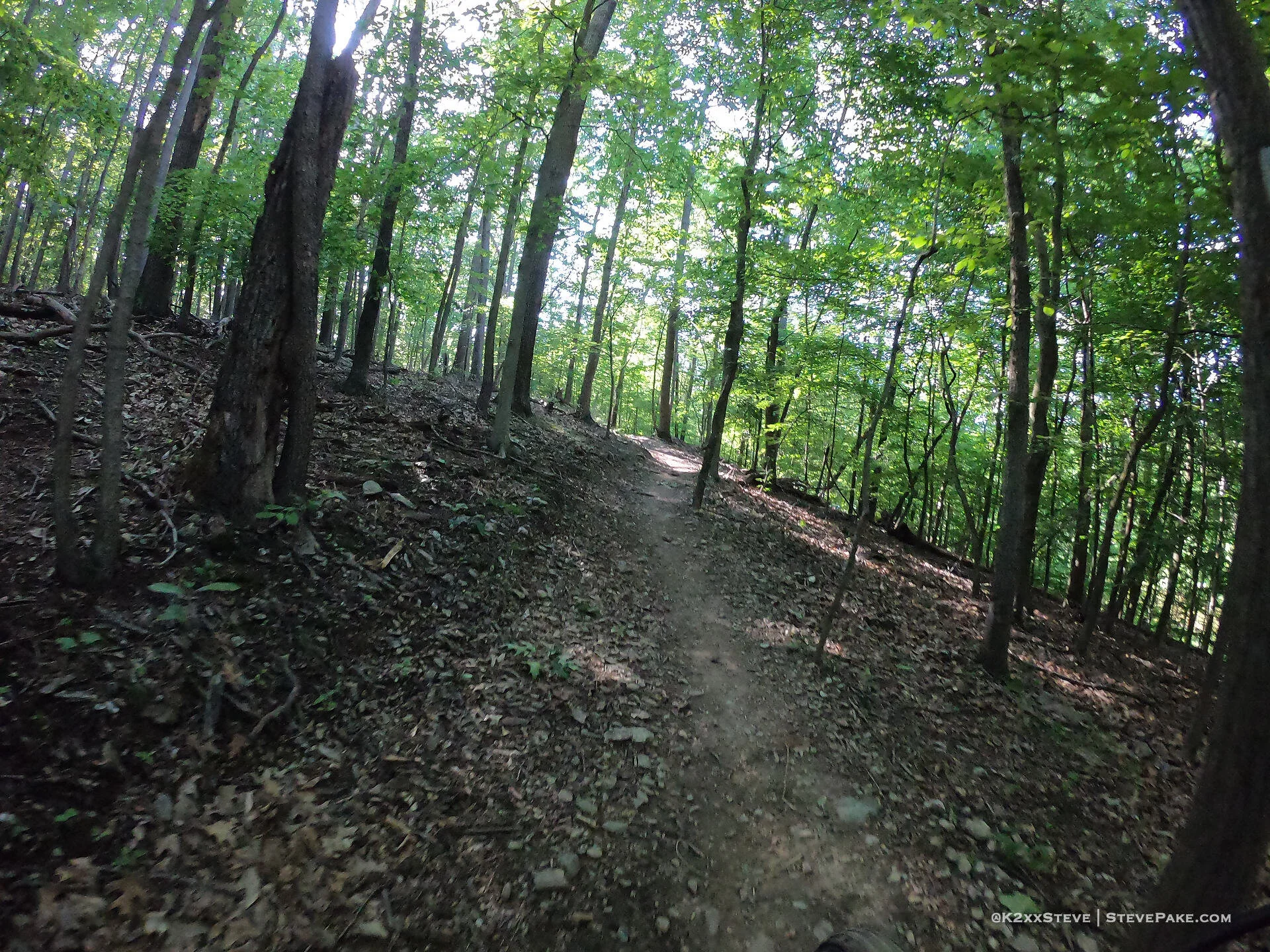  DCIM\100GOPRO\G0044556.JPG 