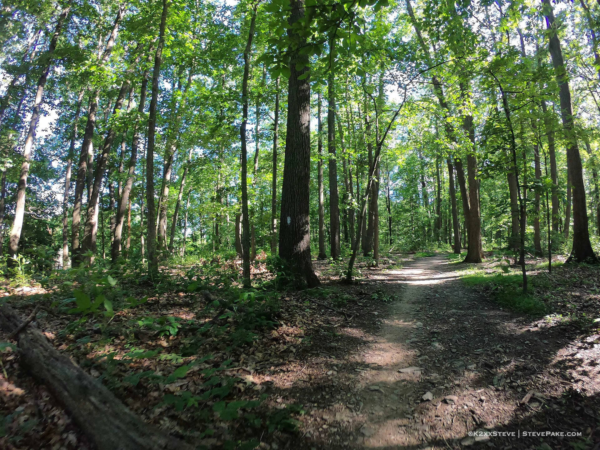  DCIM\100GOPRO\G0024081.JPG 