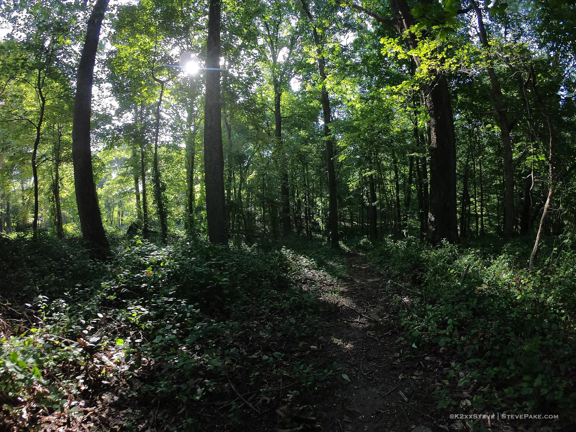  DCIM\100GOPRO\G0186323.JPG 