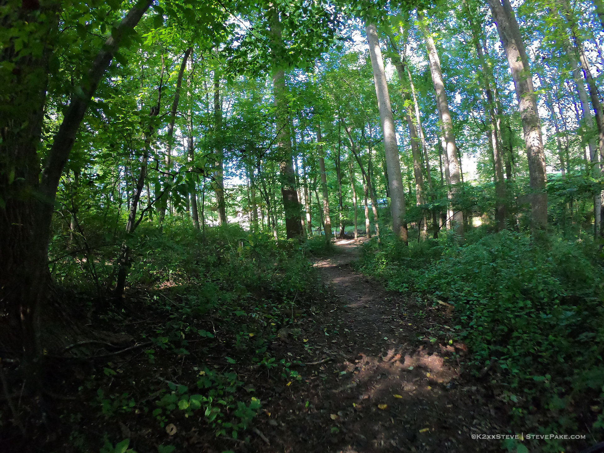  DCIM\100GOPRO\G0186339.JPG 