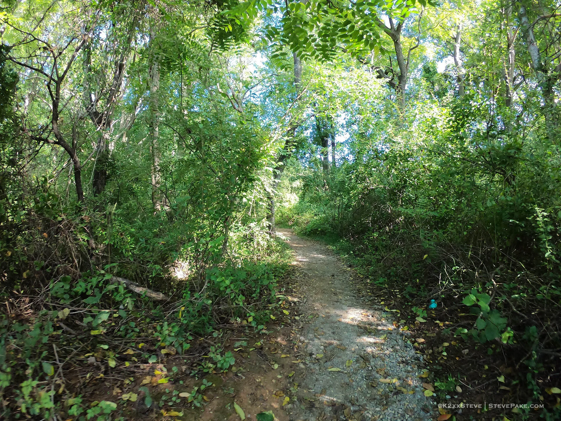  DCIM\100GOPRO\G0186381.JPG 