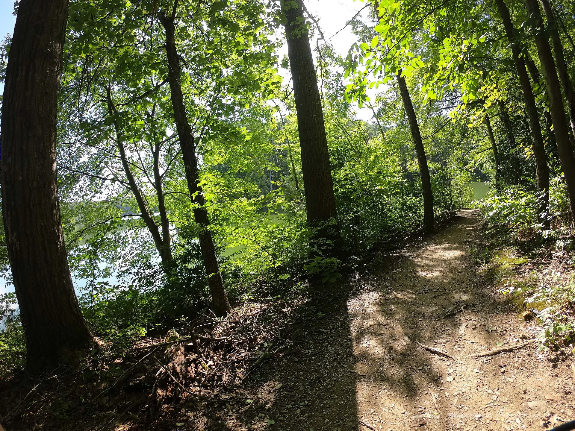  DCIM\100GOPRO\G0186439.JPG 