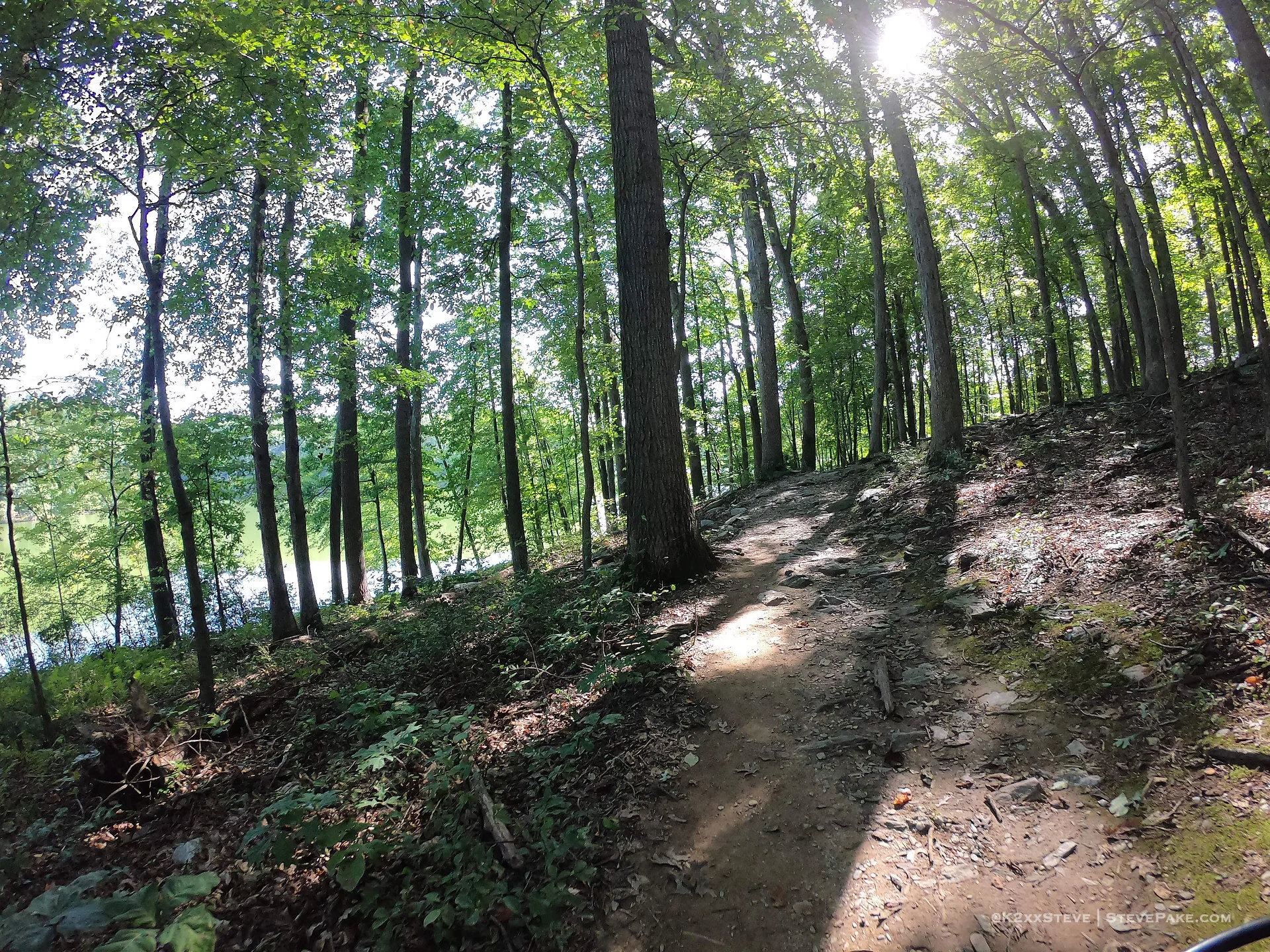  DCIM\100GOPRO\G0186499.JPG 