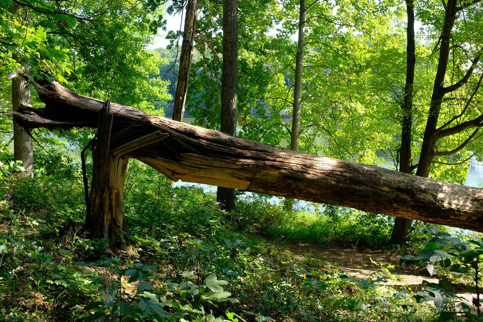 SenecaCreekStatePark-102631-DSCF0250-HD.JPG
