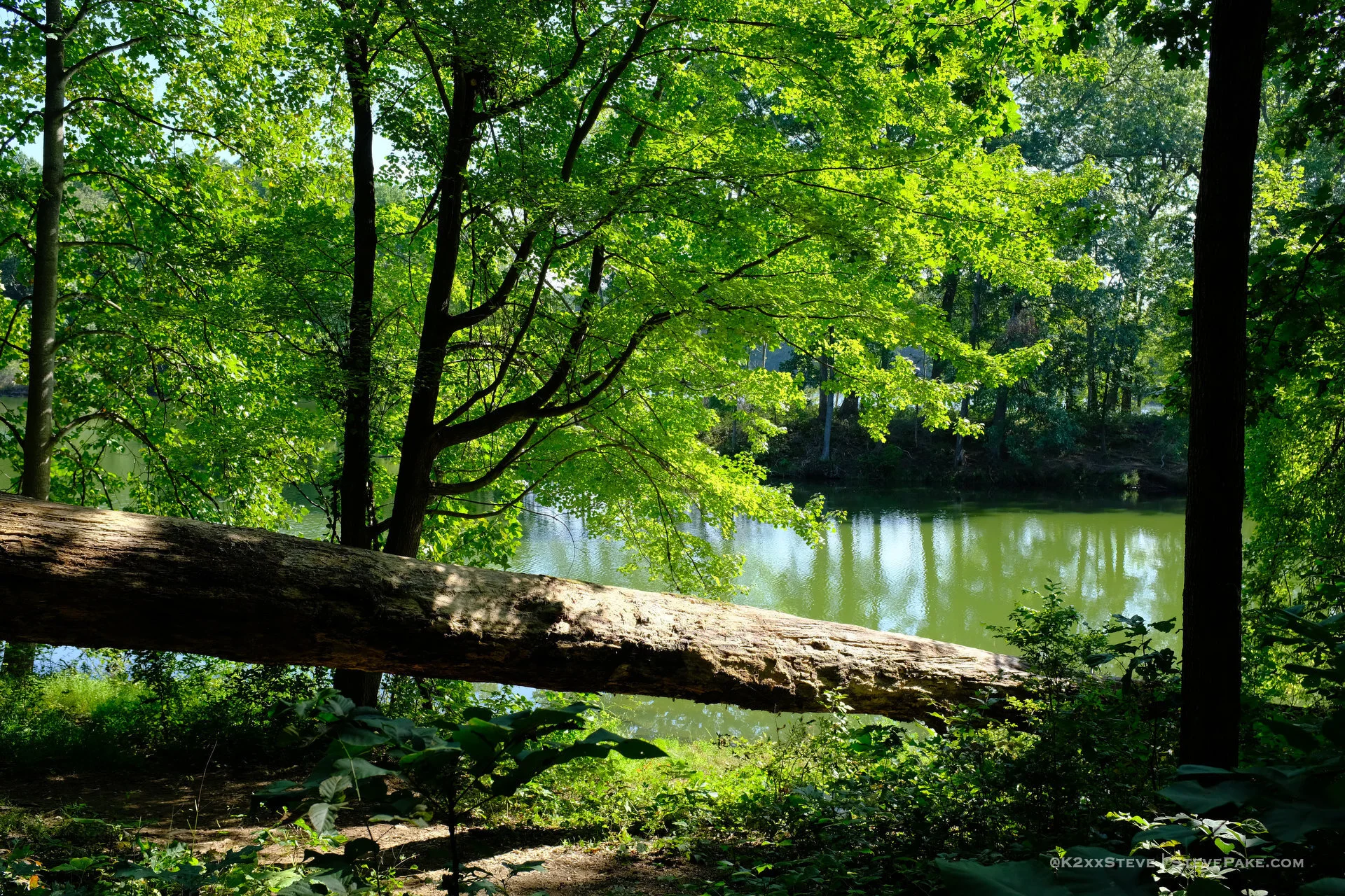 SenecaCreekStatePark-102639-DSCF0251-HD.JPG