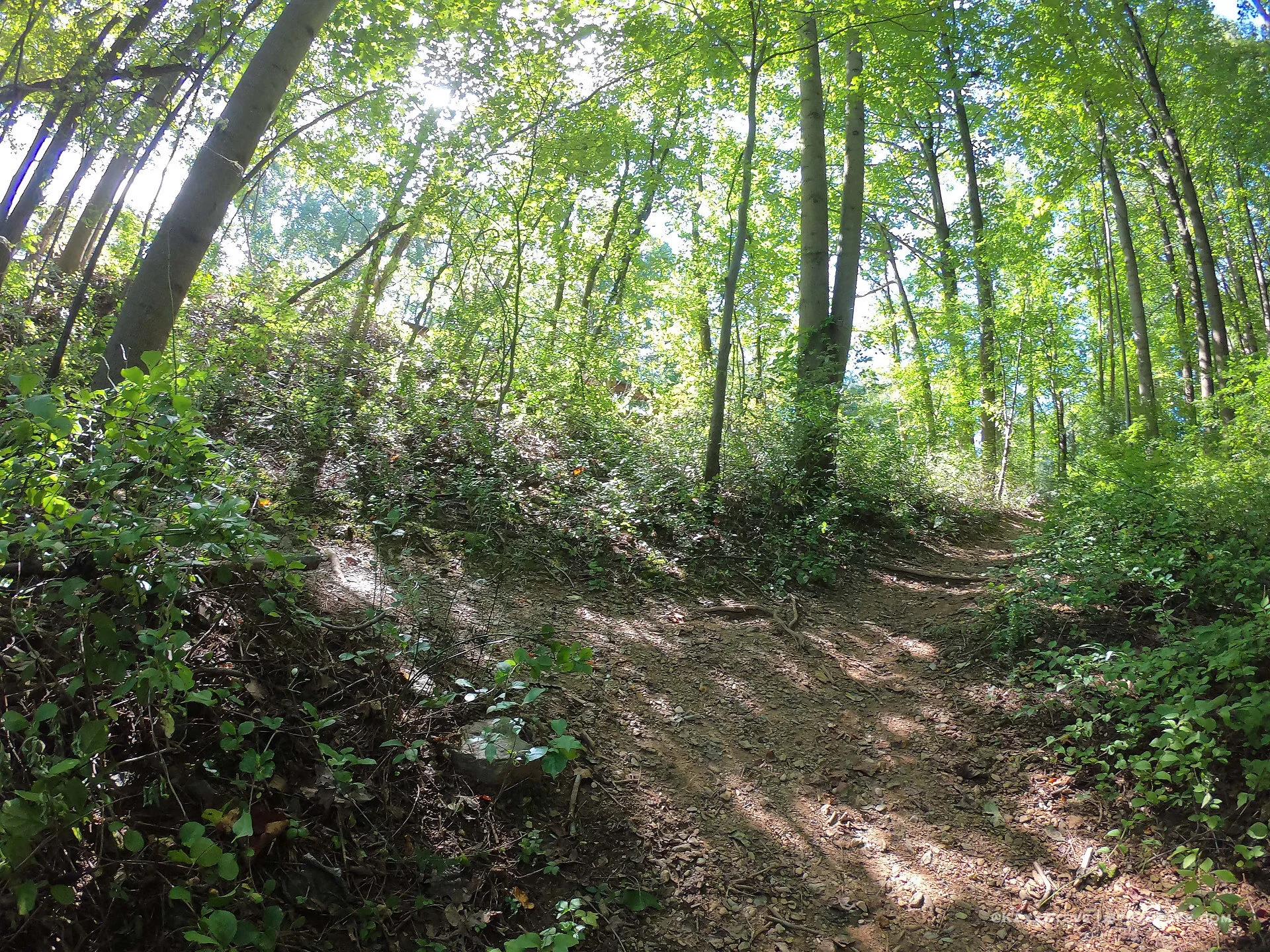  DCIM\101GOPRO\G0186572.JPG 