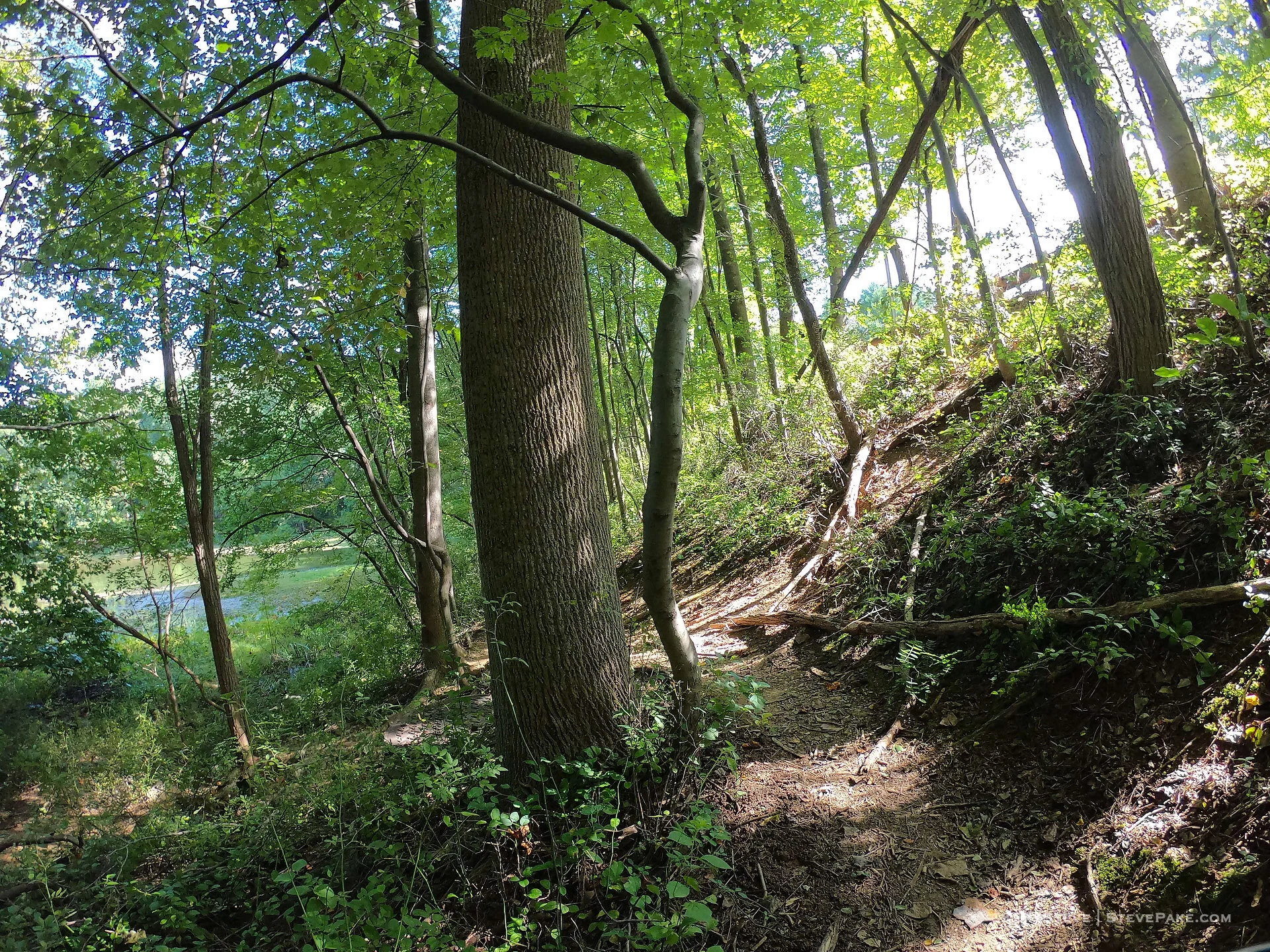  DCIM\101GOPRO\G0186574.JPG 