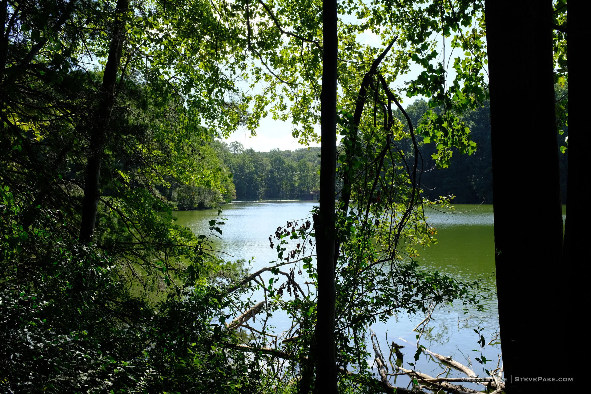 SenecaCreekStatePark-104900-DSCF0260-HD.JPG