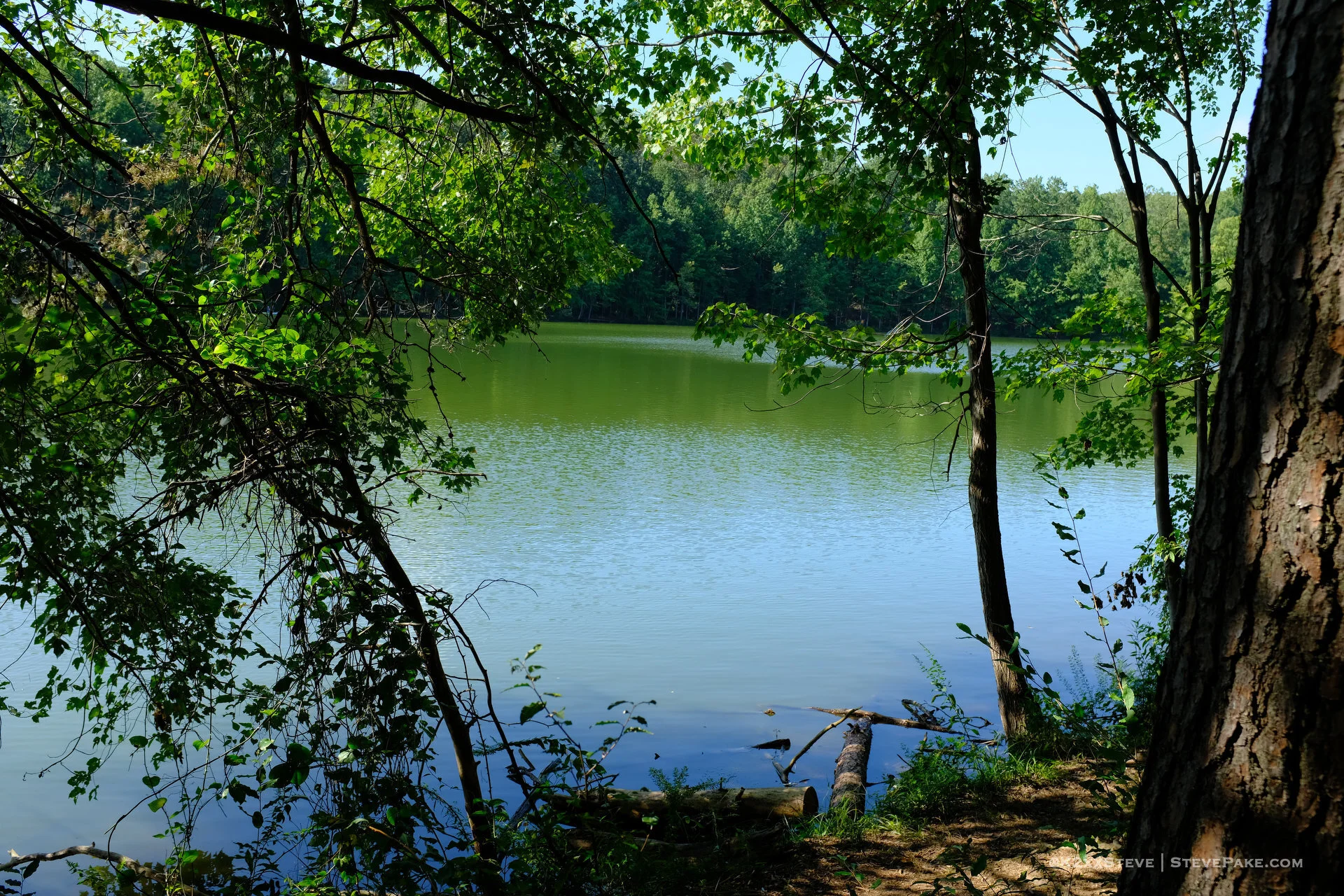 SenecaCreekStatePark-104906-DSCF0261-HD.JPG
