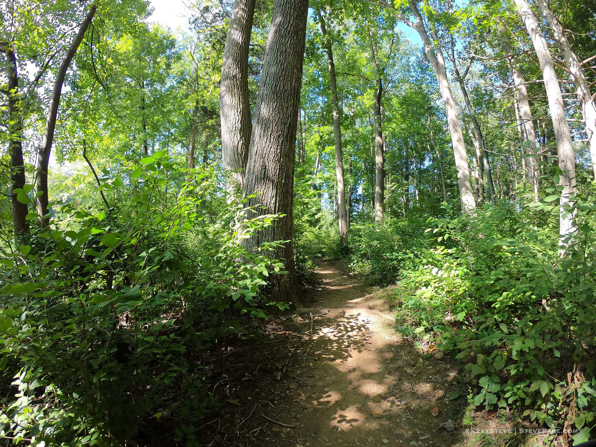  DCIM\101GOPRO\G0186651.JPG 