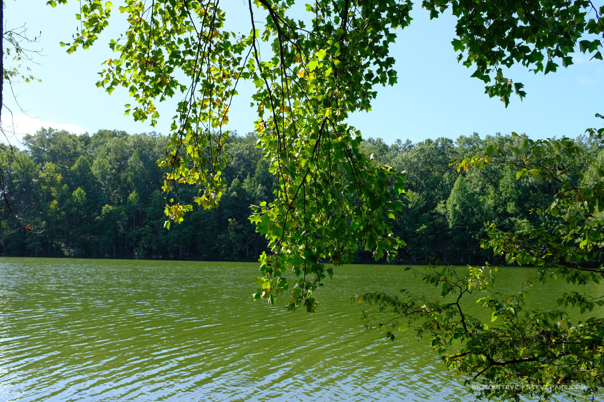 SenecaCreekStatePark-105244-DSCF0269-HD.JPG