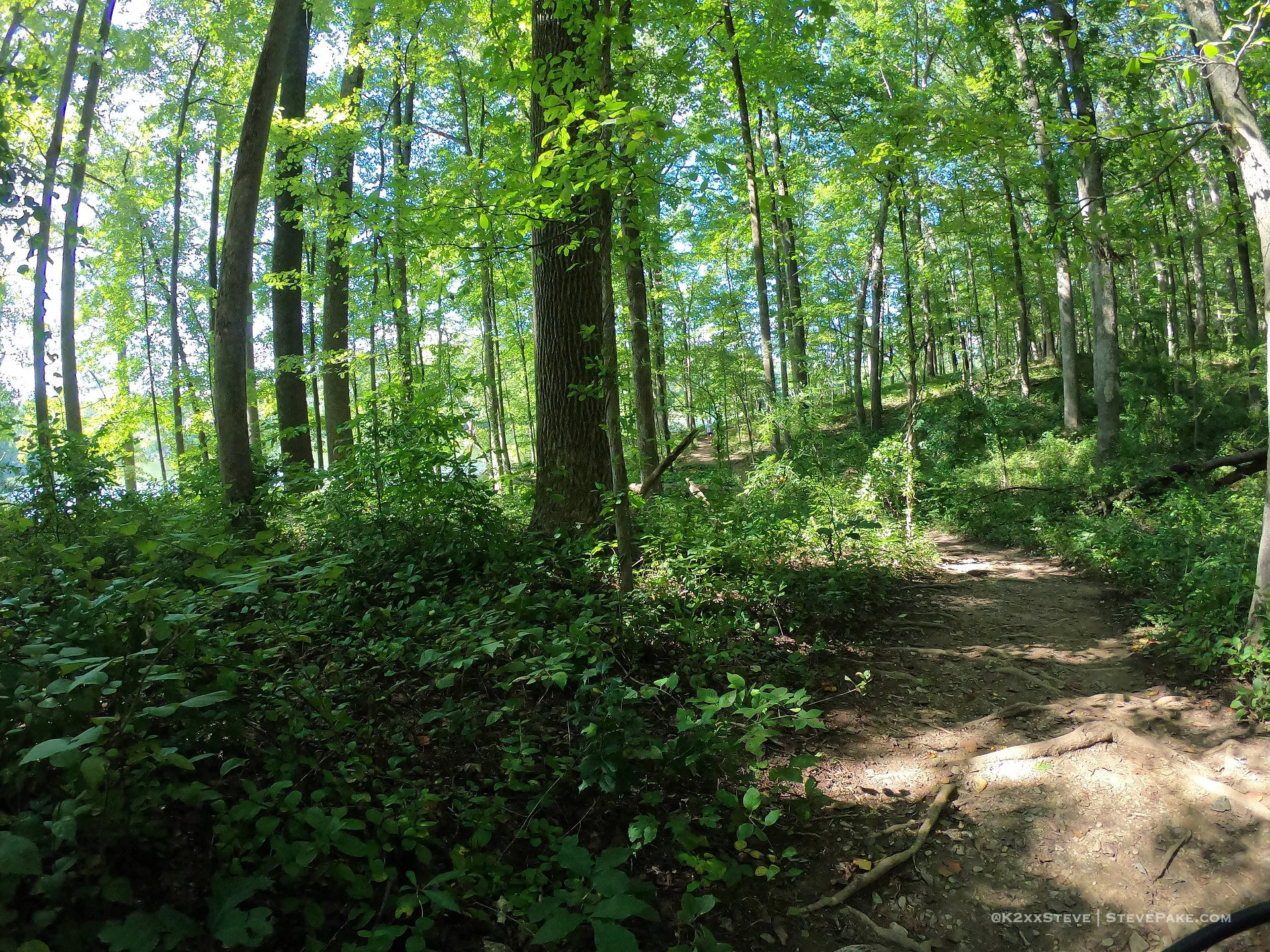  DCIM\101GOPRO\G0196703.JPG 