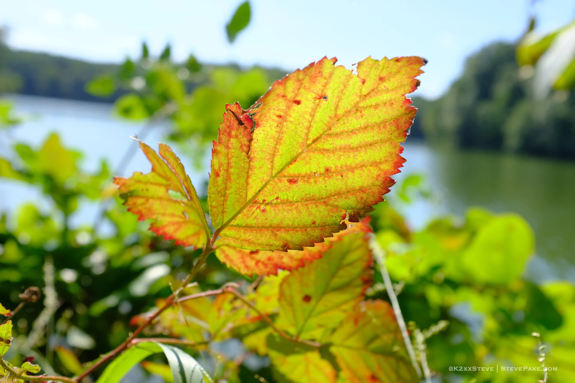 SenecaCreekStatePark-110546-DSCF0280-HD.JPG