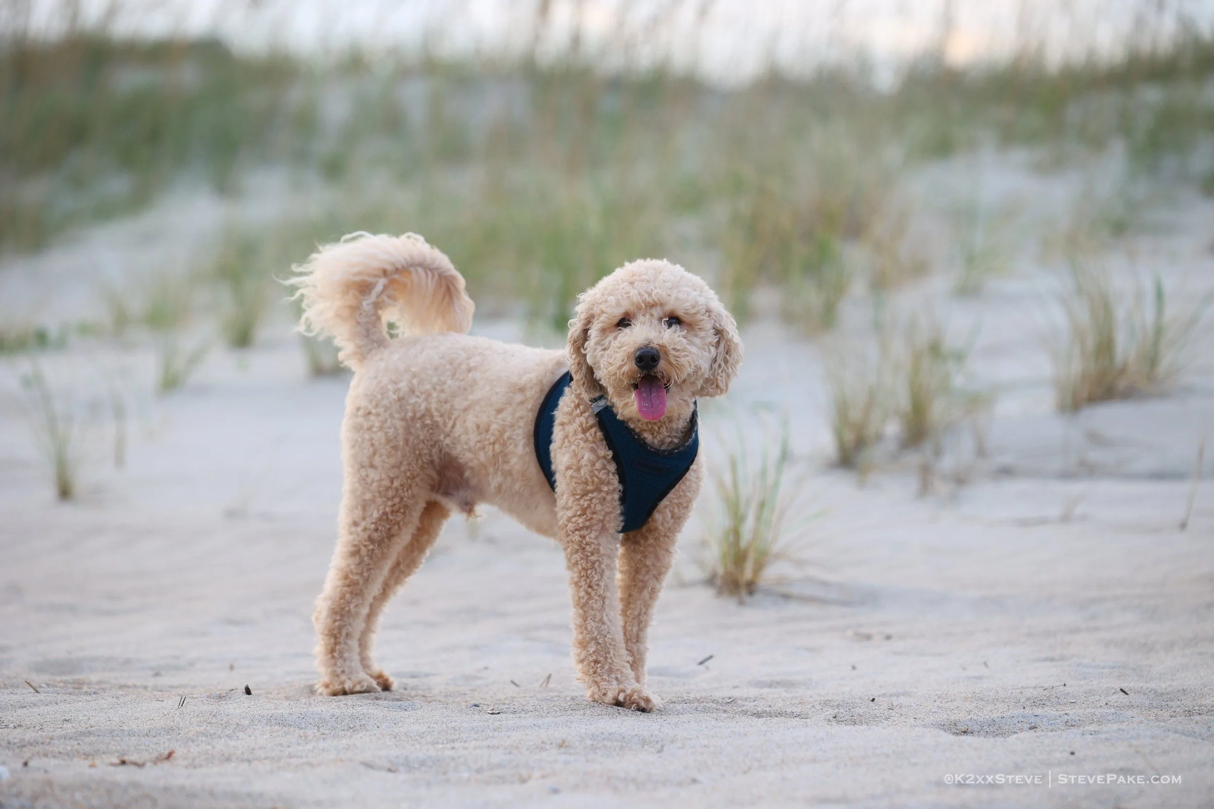 OBX222-130_R6SP1652-QHD.JPG